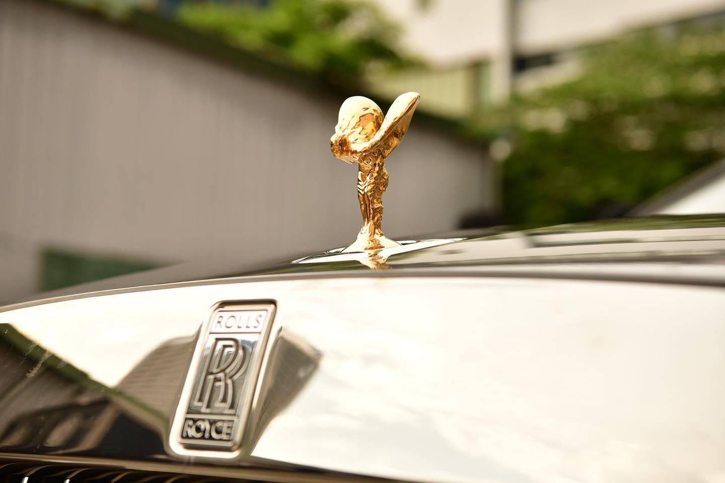 rolls-royce,  ghost,  rolls-royce ghost,  cullinan,  phantom,  wraith,  dawn,  rolls-royce cullinan,  rolls-royce phantom,  rolls-royce wraith,  rolls-royce dawn,  ewb,  ghost ewb,  phantom ewb,  xe sieu sang,  sieu xe anh 5