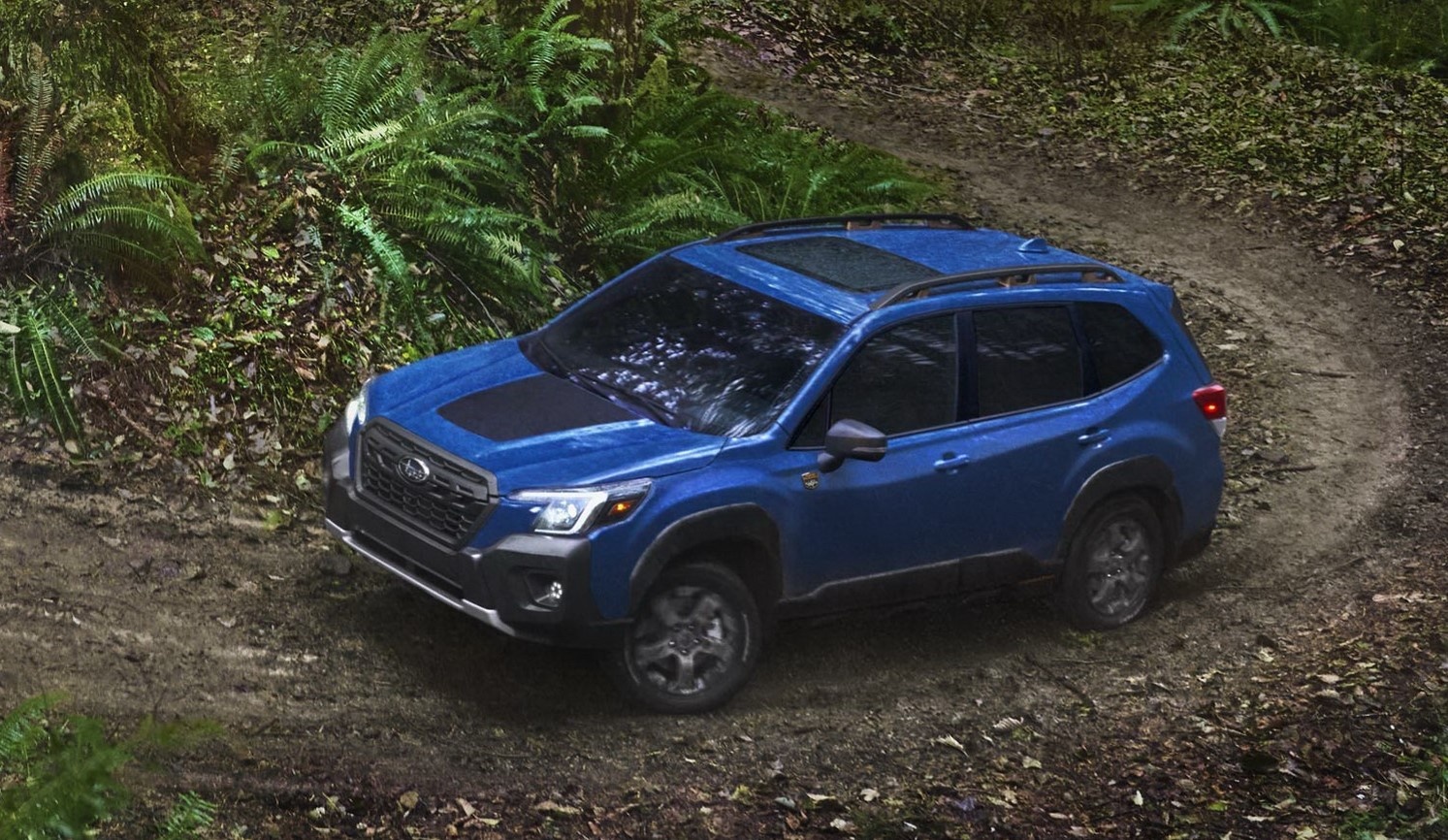 Subaru Forester 2021 anh 2