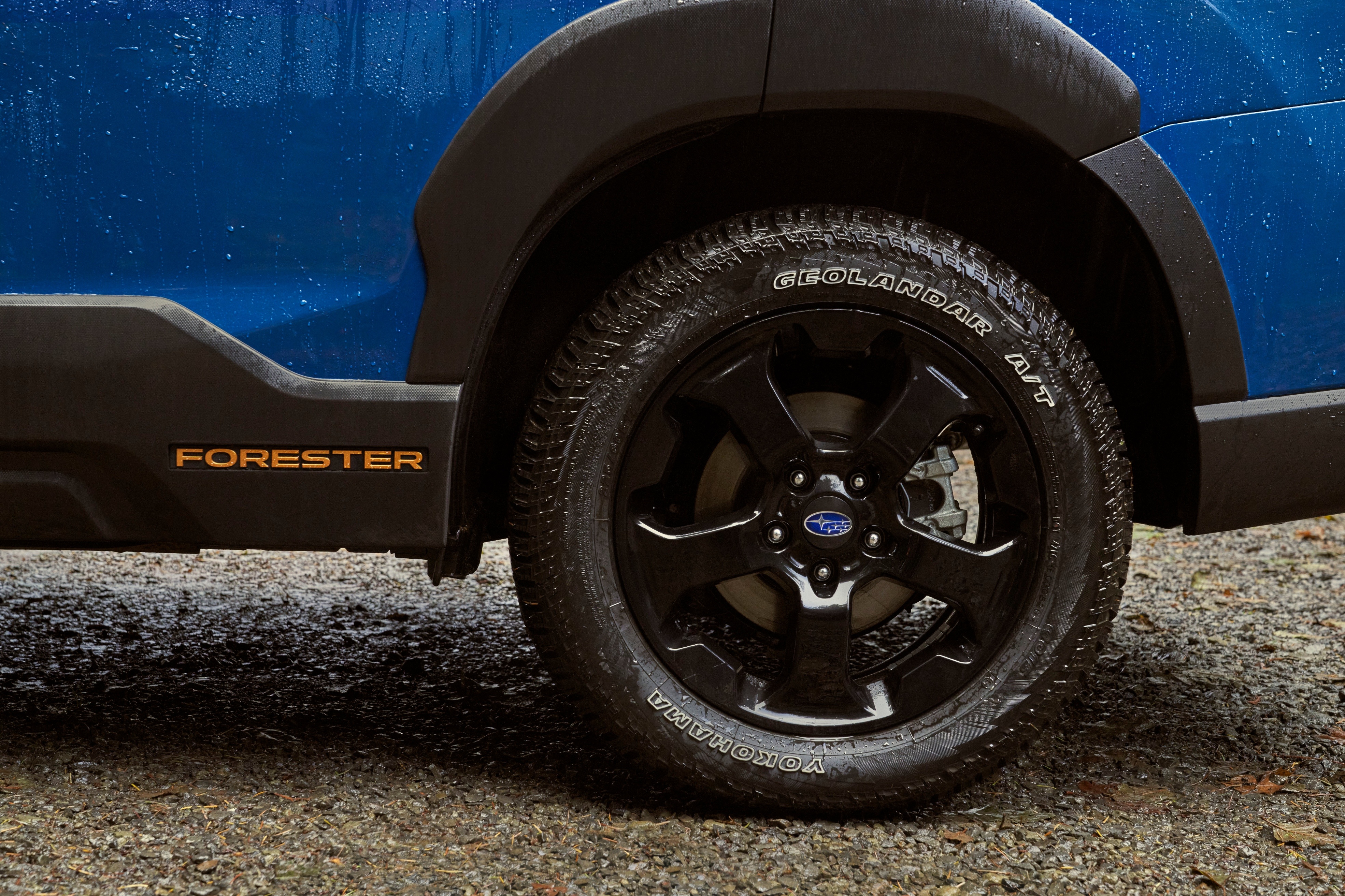 Subaru Forester 2022,  subaru forester,  subaru,  forester wilderness,  subaru forester wilderness,  forester wilderness,  suv,  outback,  outback wilderness,  địa hình,  xe địa hình,  phiên bản đặc biệt,  subaru outback,  subaru outback wilderness,  forester 2022 ảnh 9 Subaru Forester 2022,  subaru forester,  subaru,  forester wilderness,  subaru forester wilderness,  forester wilderness,  suv,  outback,  outback wilderness,  dia hinh,  xe dia hinh,  phien ban dac biet,  subaru outback,  subaru outback wilderness,  forester 2022 anh 9