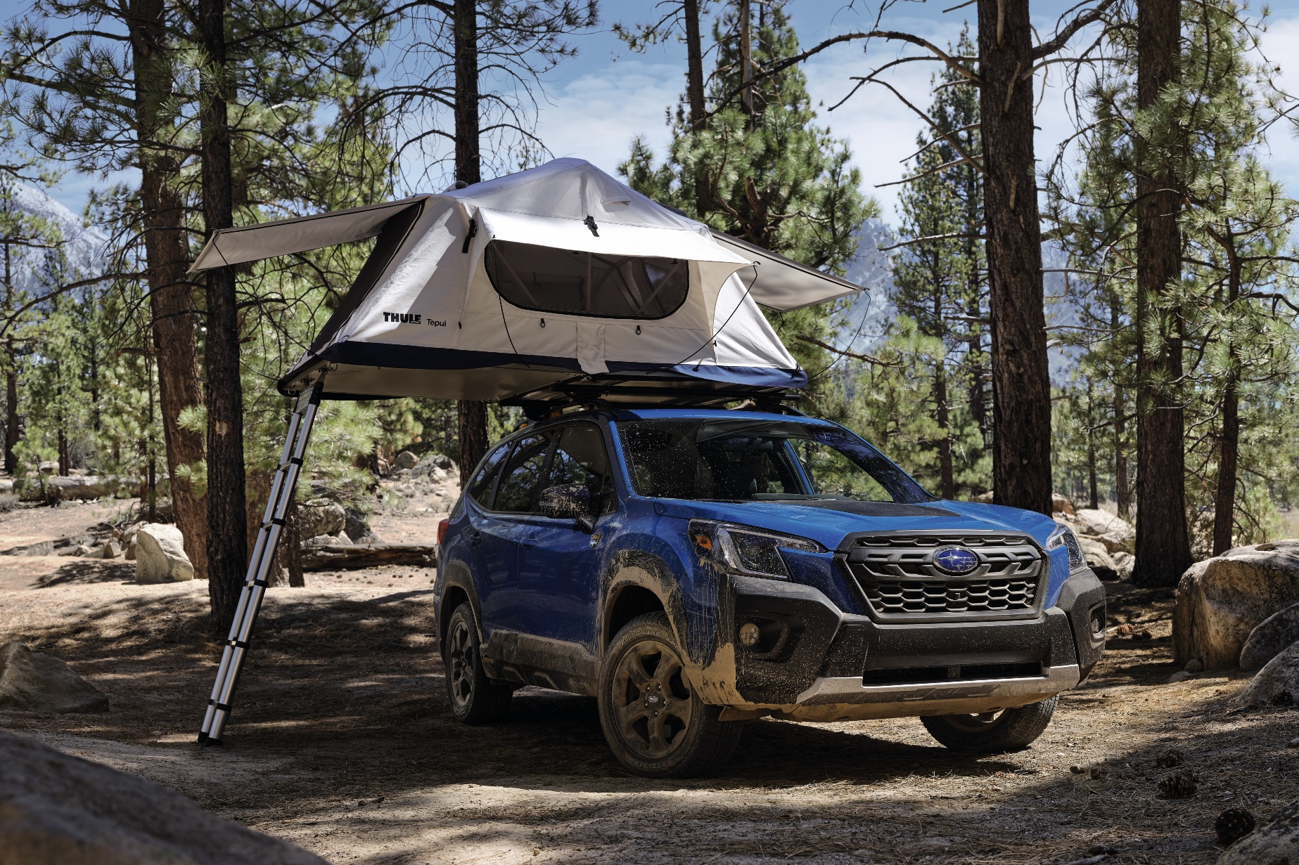 Subaru Forester 2022,  subaru forester,  subaru,  forester wilderness,  subaru forester wilderness,  forester wilderness,  suv,  outback,  outback wilderness,  địa hình,  xe địa hình,  phiên bản đặc biệt,  subaru outback,  subaru outback wilderness,  forester 2022 ảnh 15 Subaru Forester 2022,  subaru forester,  subaru,  forester wilderness,  subaru forester wilderness,  forester wilderness,  suv,  outback,  outback wilderness,  dia hinh,  xe dia hinh,  phien ban dac biet,  subaru outback,  subaru outback wilderness,  forester 2022 anh 15