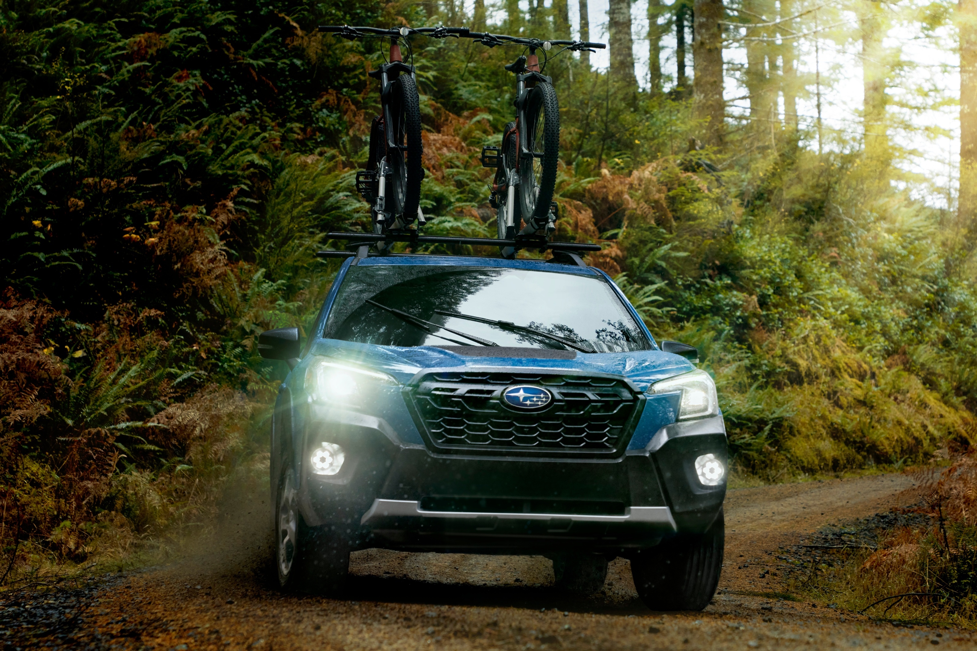 Subaru Forester 2022,  subaru forester,  subaru,  forester wilderness,  subaru forester wilderness,  forester wilderness,  suv,  outback,  outback wilderness,  địa hình,  xe địa hình,  phiên bản đặc biệt,  subaru outback,  subaru outback wilderness,  forester 2022 ảnh 5 Subaru Forester 2022,  subaru forester,  subaru,  forester wilderness,  subaru forester wilderness,  forester wilderness,  suv,  outback,  outback wilderness,  dia hinh,  xe dia hinh,  phien ban dac biet,  subaru outback,  subaru outback wilderness,  forester 2022 anh 5