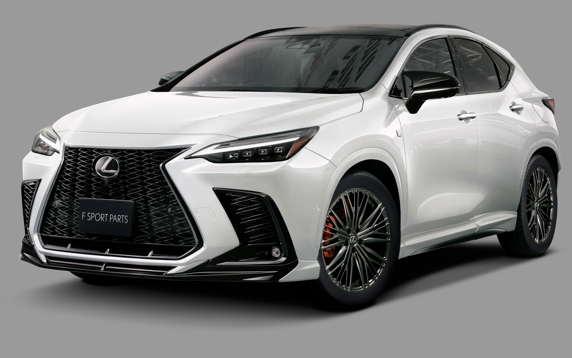 Lexus NX 2022  ảnh 1 Lexus NX 2022 anh 1
