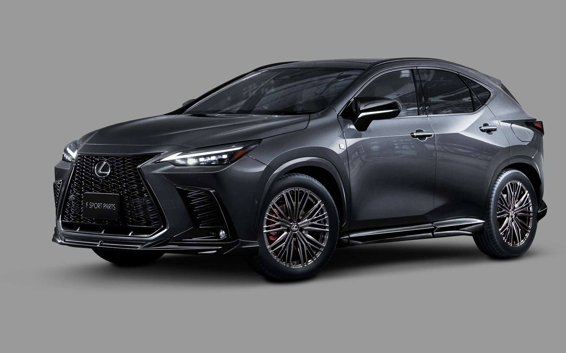 Lexus NX 2022  ảnh 11 Lexus NX 2022 anh 11