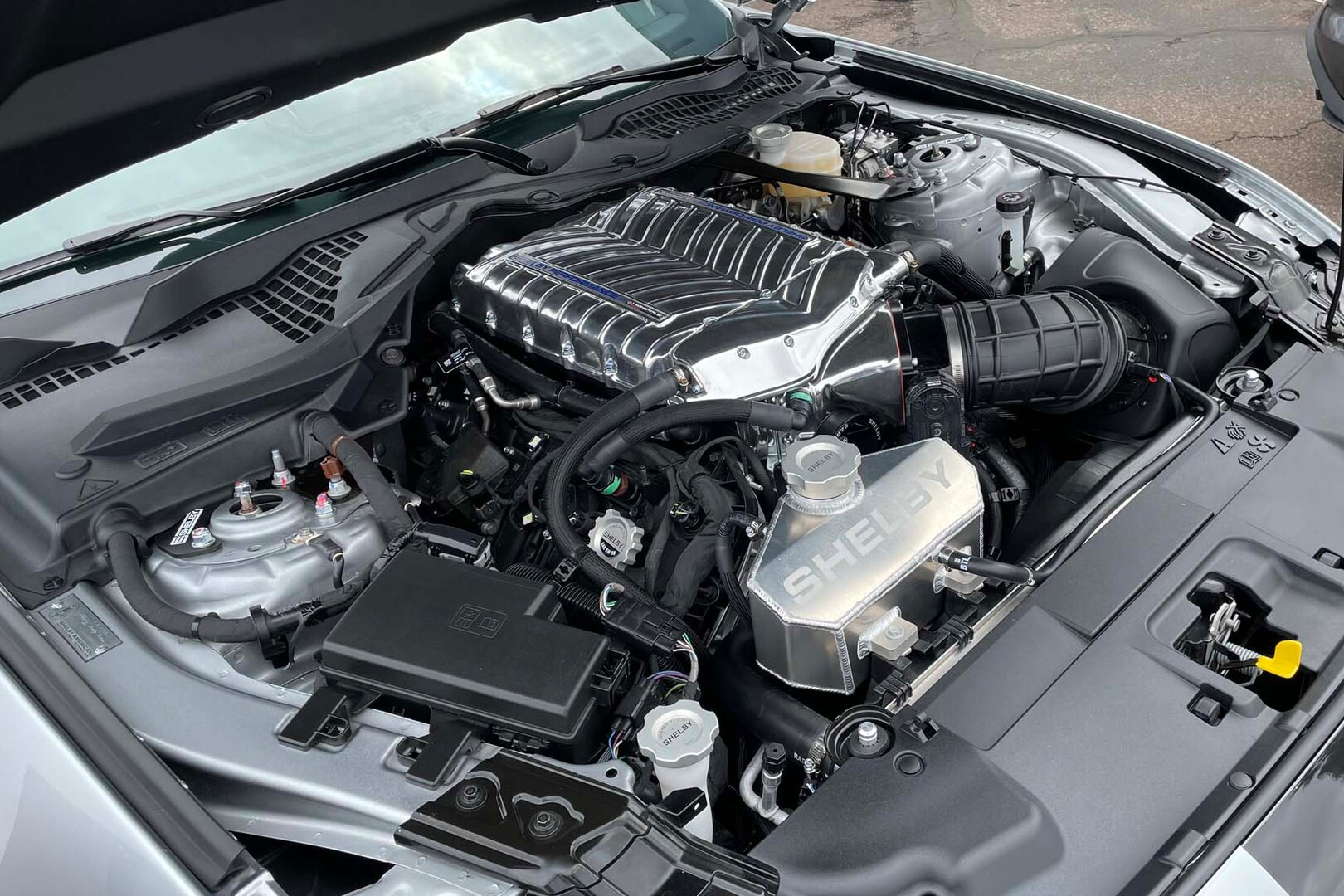 ford,  ford mustang,  shelby,  super snake,  shelby super snake anh 10