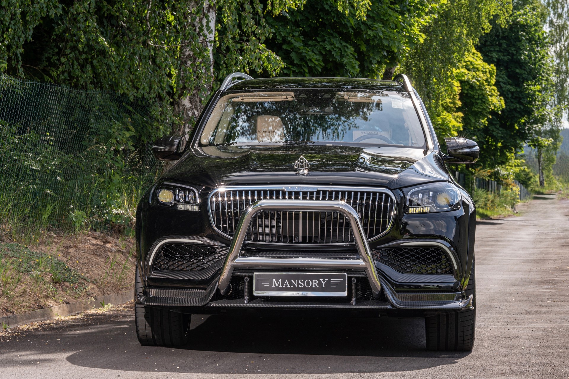 mercedes,  maybach,  mercedes-maybach,  benz,  mercedes-benz,  amg,  gls,  gls600,  gls480,  mansory,  xe do,  suv anh 10