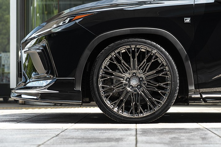 lexus,  lexus rx,  lexus rx f sport,  f sport,  lexus,  rx,  lx,  lexus lx,  xe do,  wald,  wald international,  suv anh 5