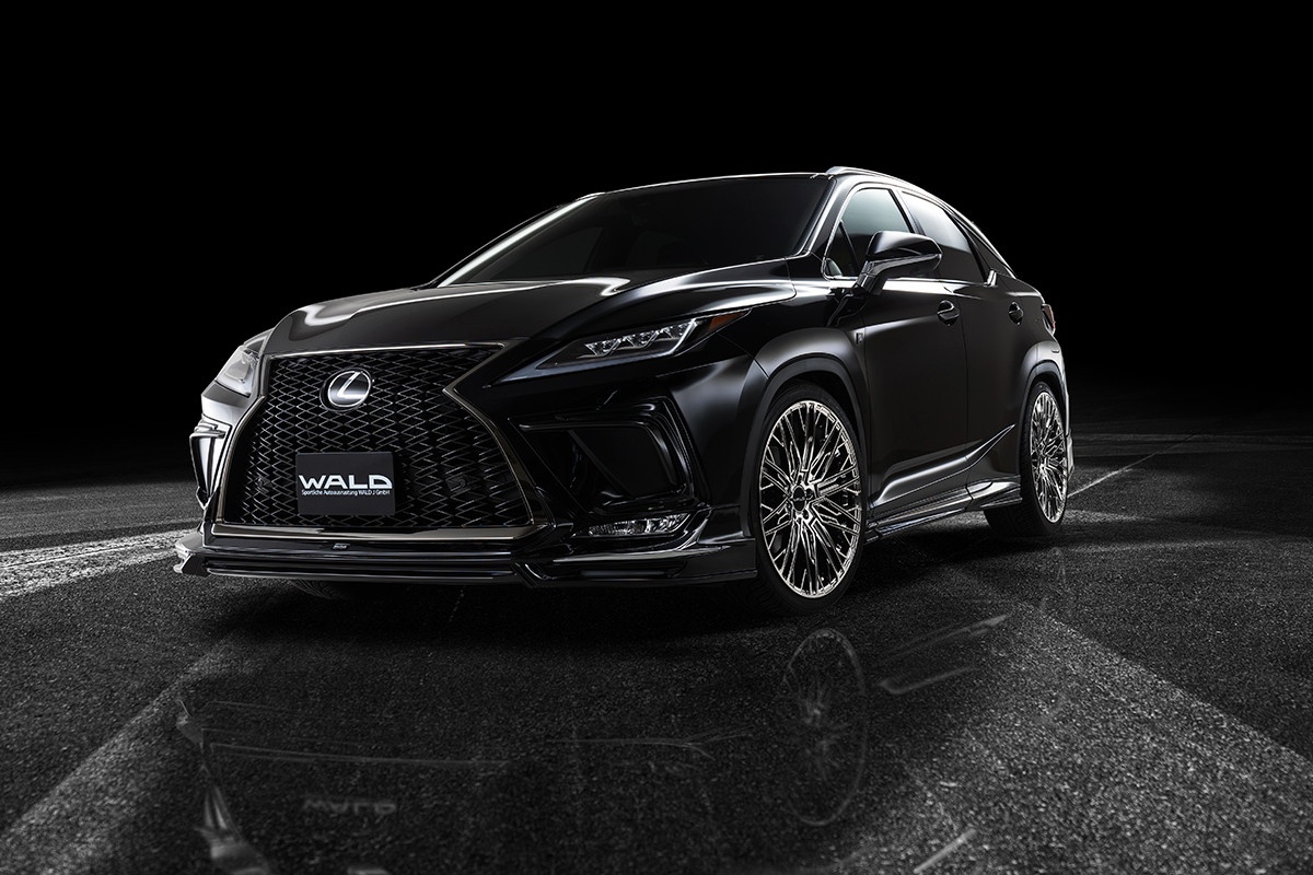 Ban do the thao cua Lexus RX F Sport hinh anh