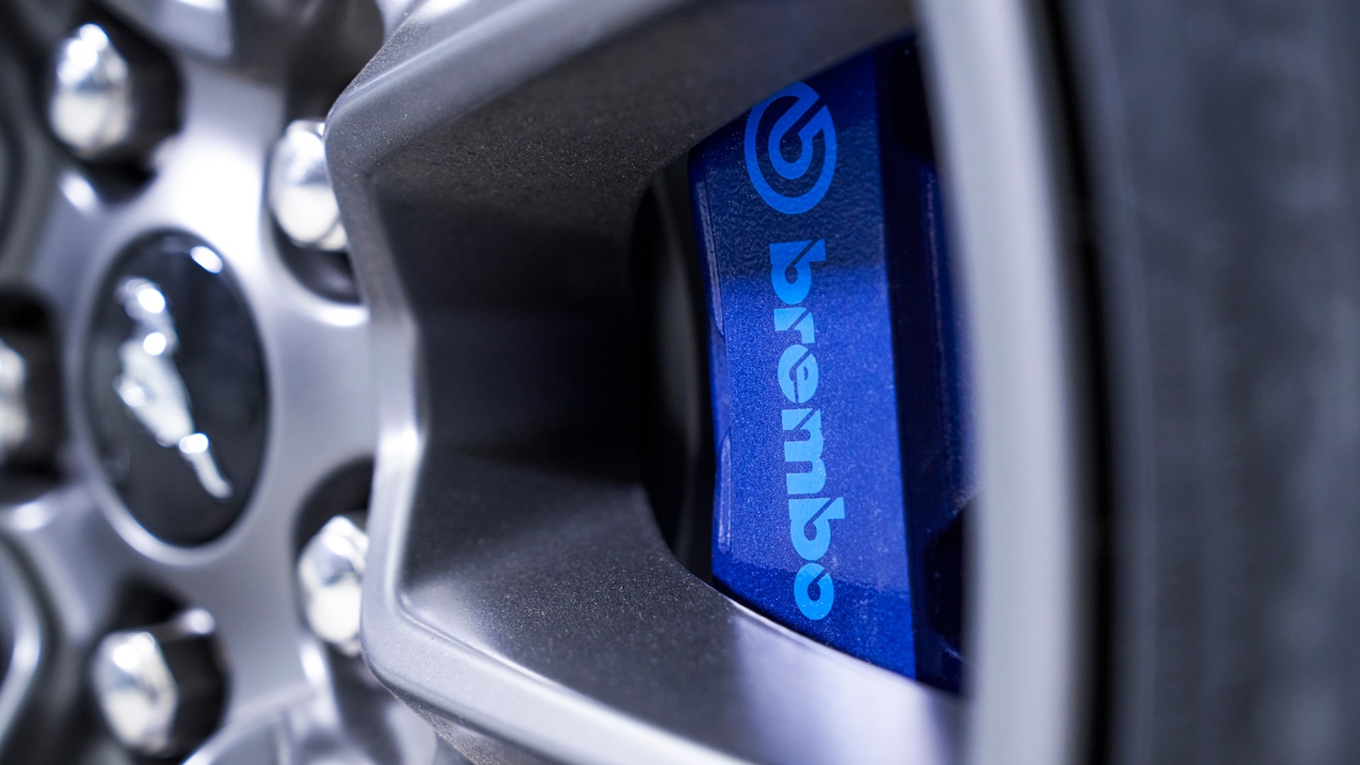 mustang,  ford,  ford mustang,  ford mustang dark horse,  bullitt,  dark horse,  mustang dark horse,  mustang bullitt,  mach 1,  ford mustang mach 1,  shelby,  xe co bap,  xe co bap my anh 12