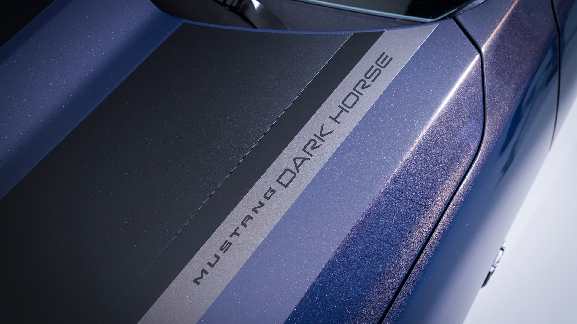 mustang,  ford,  ford mustang,  ford mustang dark horse,  bullitt,  dark horse,  mustang dark horse,  mustang bullitt,  mach 1,  ford mustang mach 1,  shelby,  xe co bap,  xe co bap my anh 10