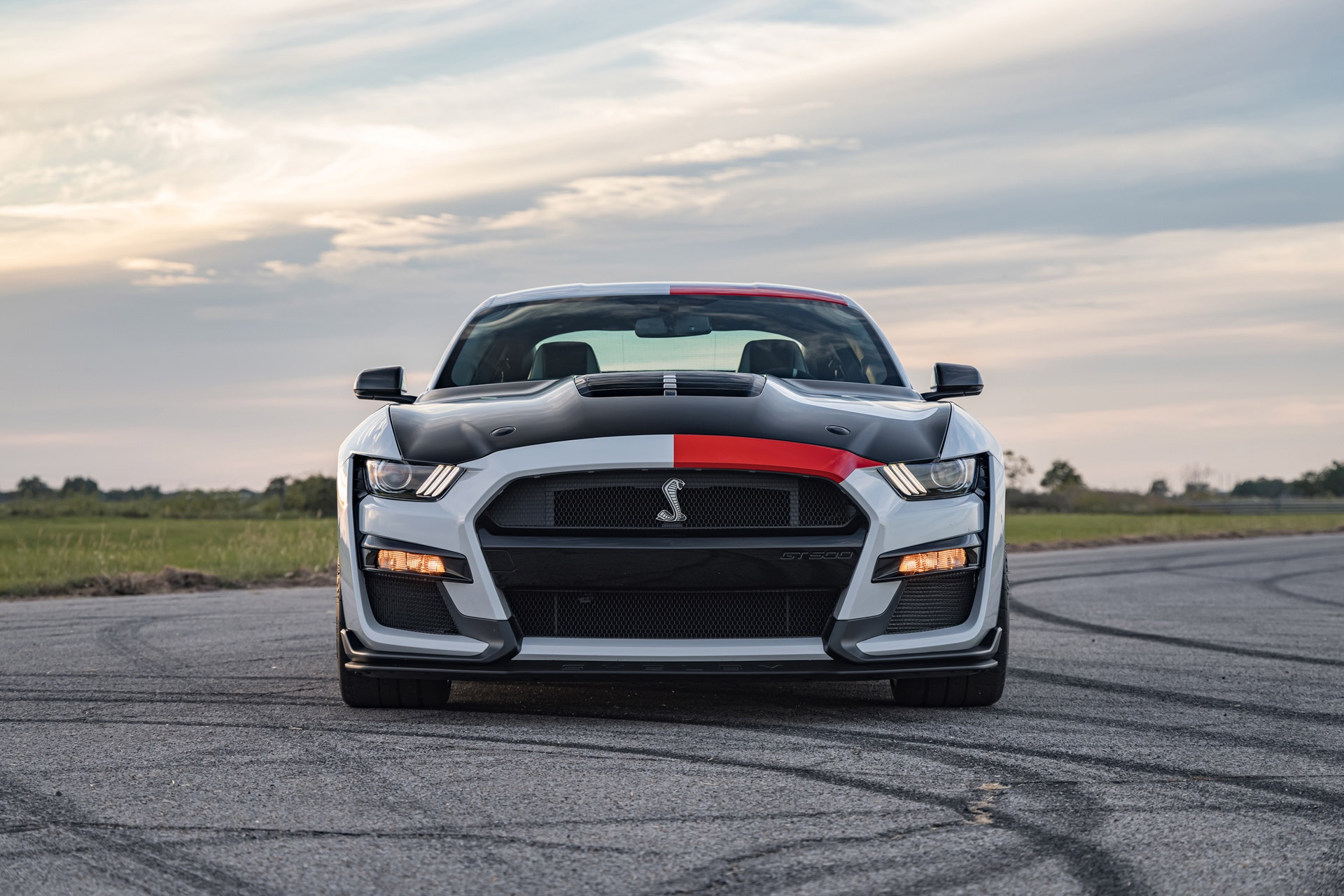 ford,  mustang,  shelby,  shelby gt500,  ford mustang,  hennessey,  hennessey performance,  venom 1200,  venom 1000,  hennessey venom 1000,  hennessey venom 1200,  xe cơ bắp ảnh 3 ford,  mustang,  shelby,  shelby gt500,  ford mustang,  hennessey,  hennessey performance,  venom 1200,  venom 1000,  hennessey venom 1000,  hennessey venom 1200,  xe co bap anh 3