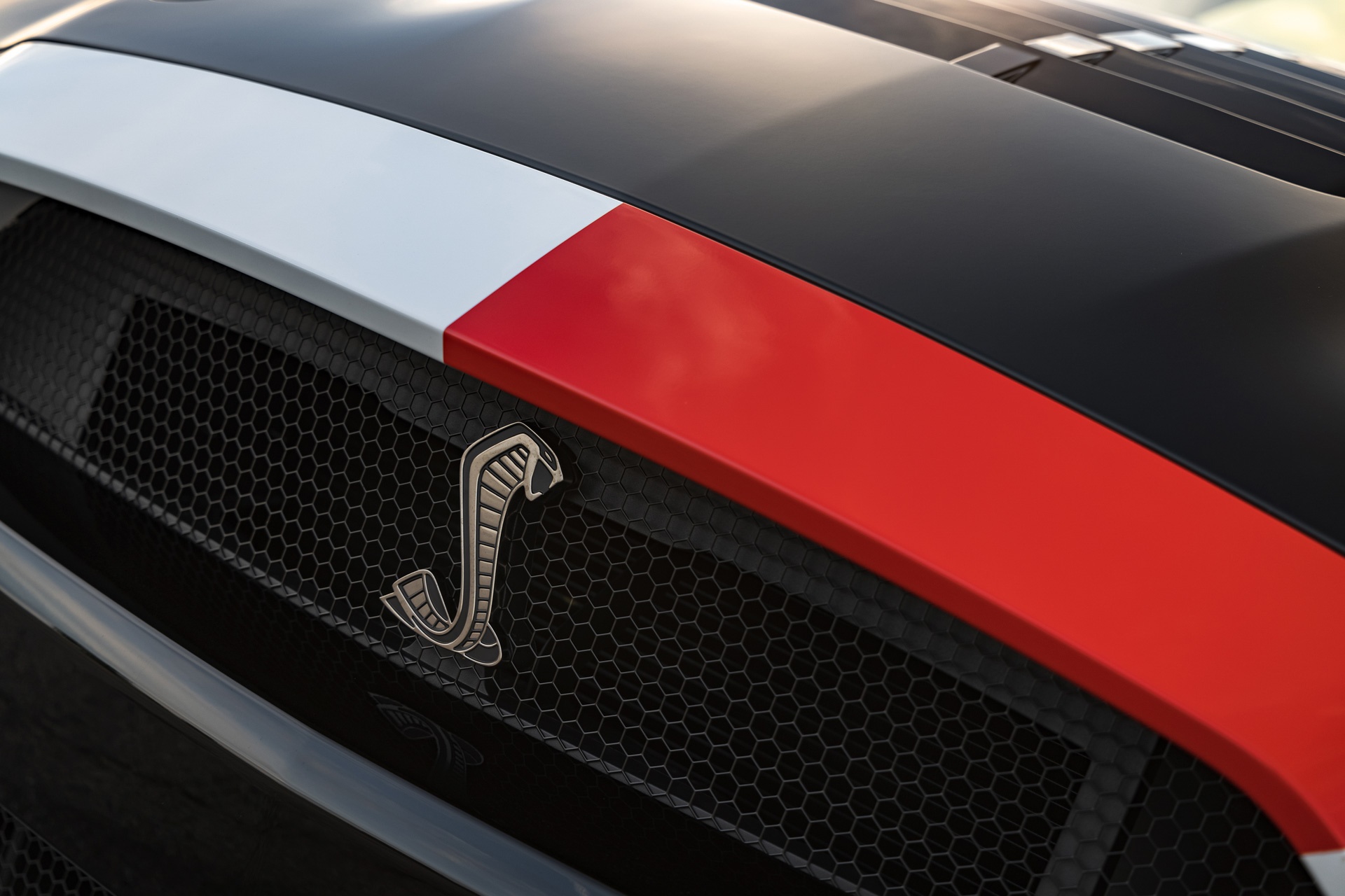 ford,  mustang,  shelby,  shelby gt500,  ford mustang,  hennessey,  hennessey performance,  venom 1200,  venom 1000,  hennessey venom 1000,  hennessey venom 1200,  xe cơ bắp ảnh 15 ford,  mustang,  shelby,  shelby gt500,  ford mustang,  hennessey,  hennessey performance,  venom 1200,  venom 1000,  hennessey venom 1000,  hennessey venom 1200,  xe co bap anh 15
