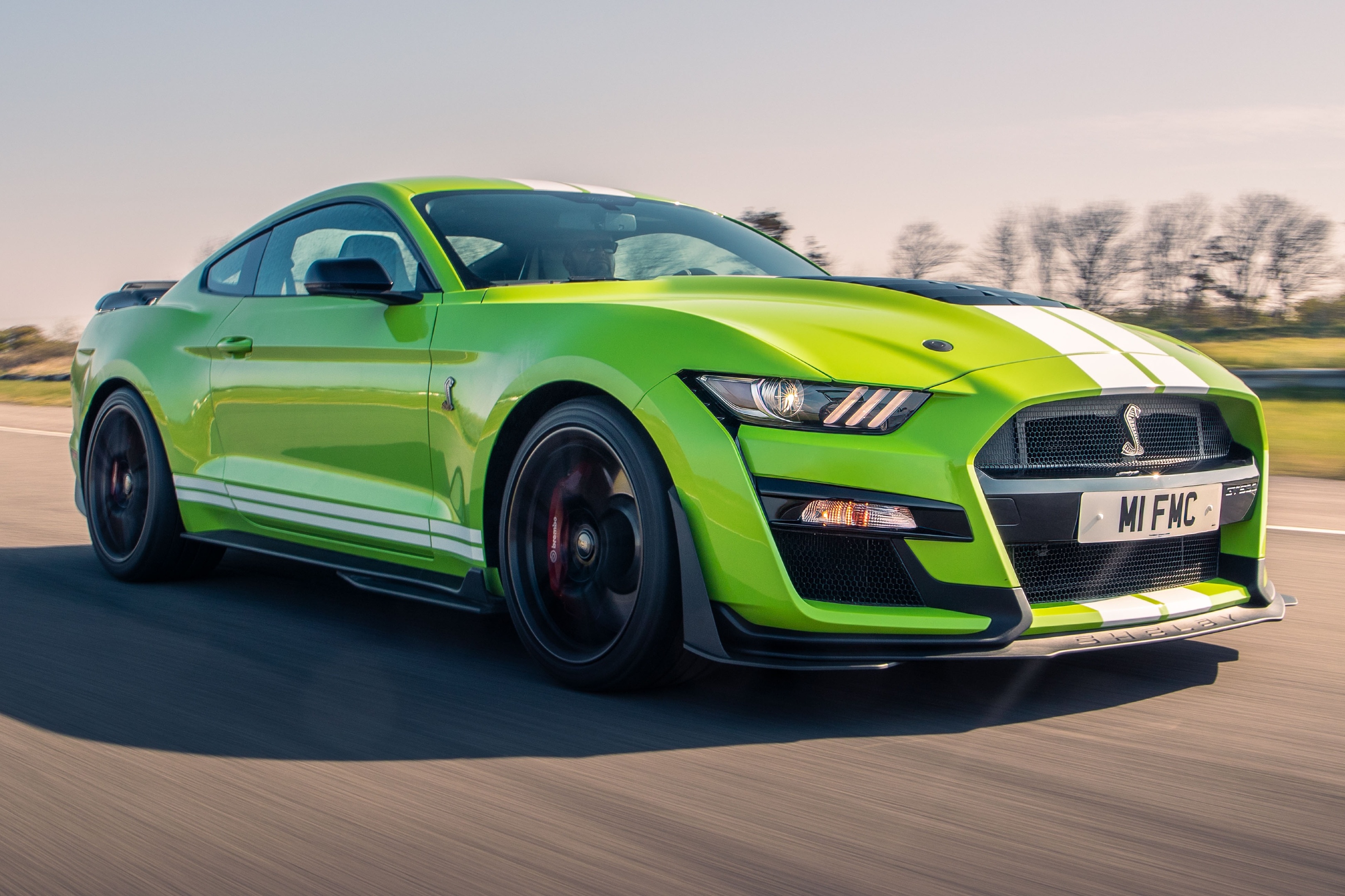 ford,  mustang,  shelby,  shelby gt500,  ford mustang,  hennessey,  hennessey performance,  venom 1200,  venom 1000,  hennessey venom 1000,  hennessey venom 1200,  xe cơ bắp ảnh 10 ford,  mustang,  shelby,  shelby gt500,  ford mustang,  hennessey,  hennessey performance,  venom 1200,  venom 1000,  hennessey venom 1000,  hennessey venom 1200,  xe co bap anh 10
