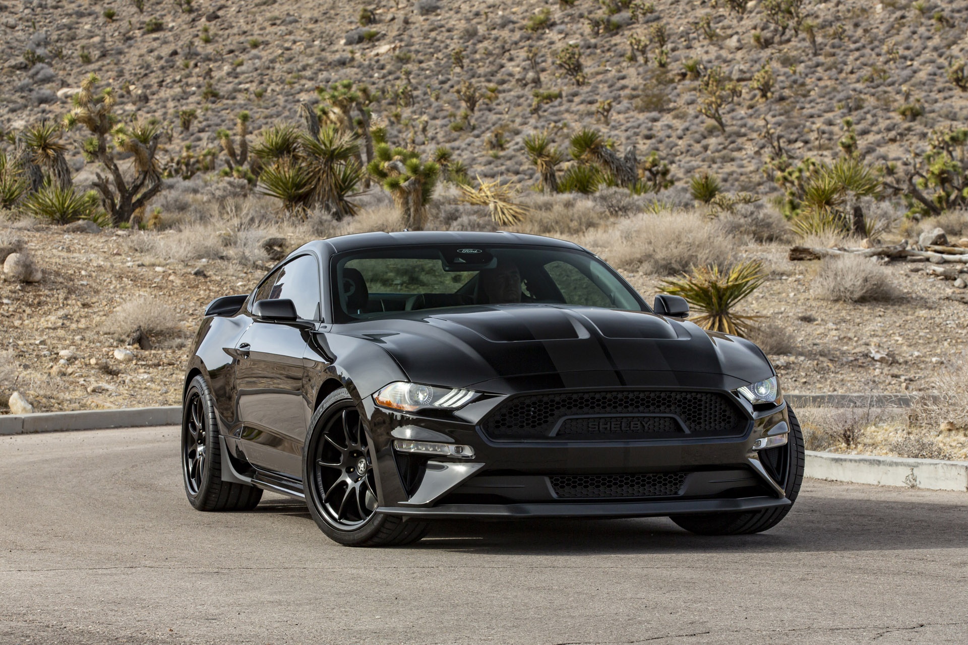 Phien ban dac biet cua Ford Mustang chi duoc san xuat 100 chiec hinh anh