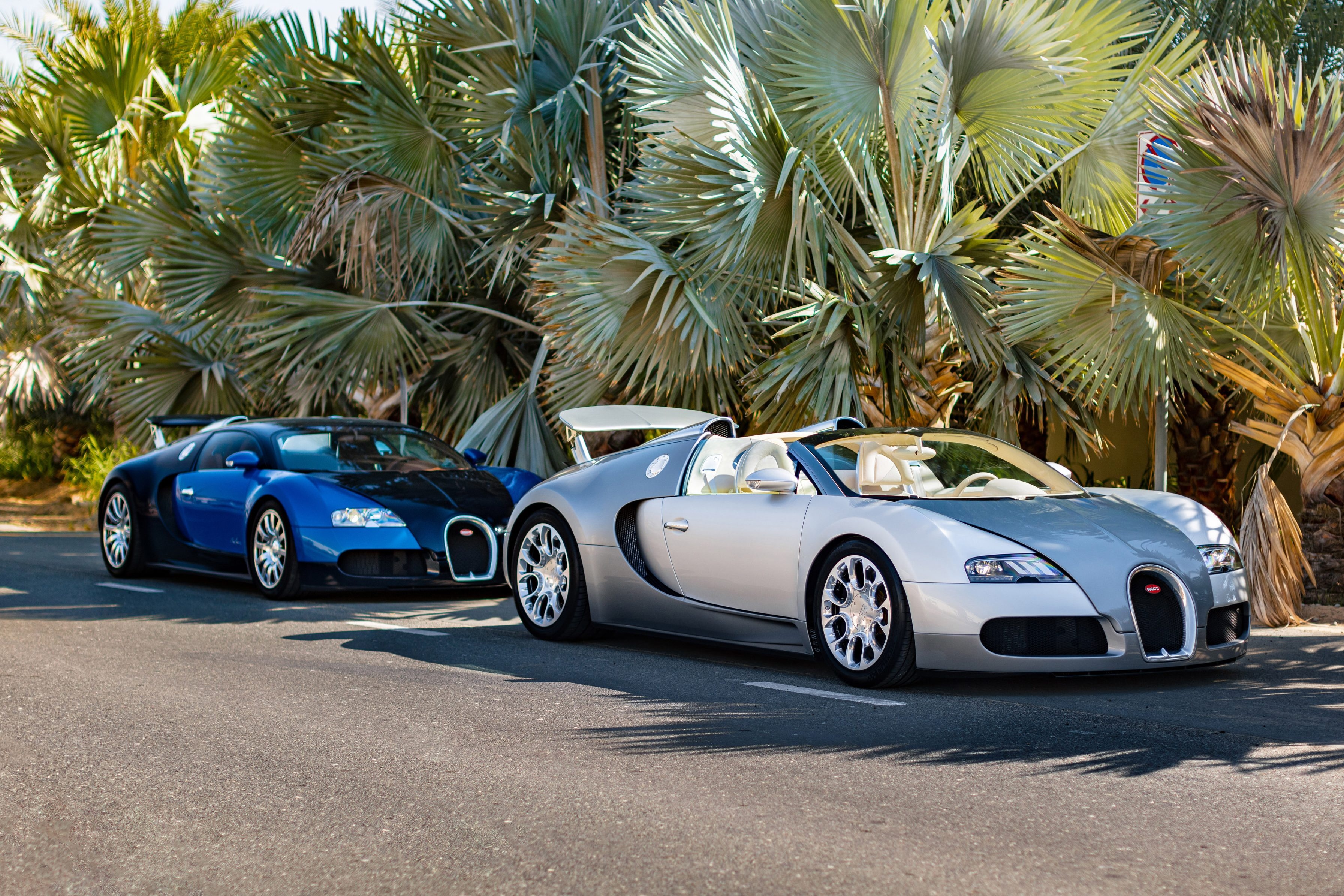 Bugatti Veyron duoc phuc hoi nhu moi hoan toan hinh anh