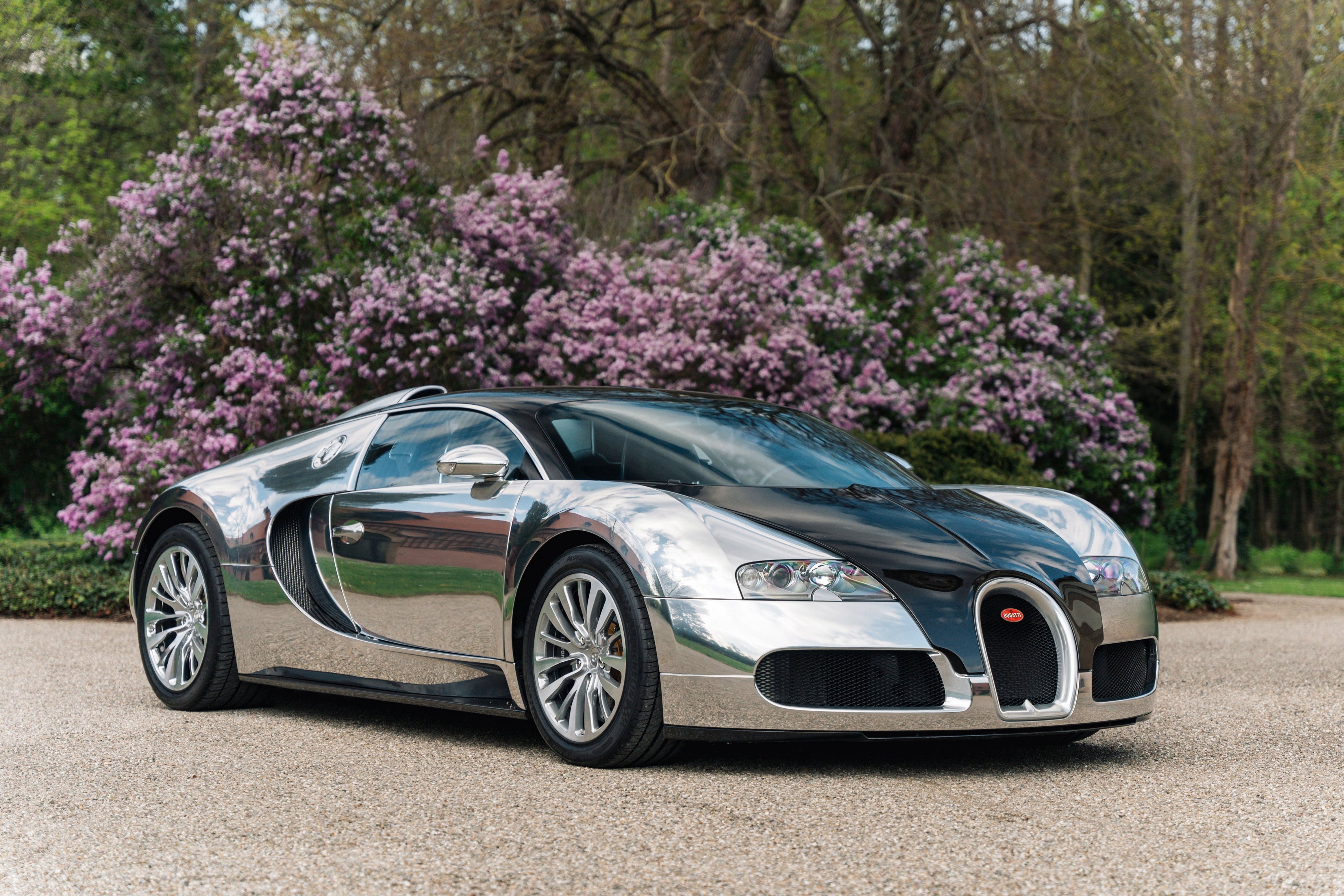 bugatti, veyron, chiron, veyron super sport, chiron super sport, sieu xe, hypercar, pur sang, veyron pur sang, divo, centodieci, pur sport, chiron pur sport, koenigsegg, pagani, lamborghini, ferrari, mclaren, aston martin, porsche, maserati anh 11