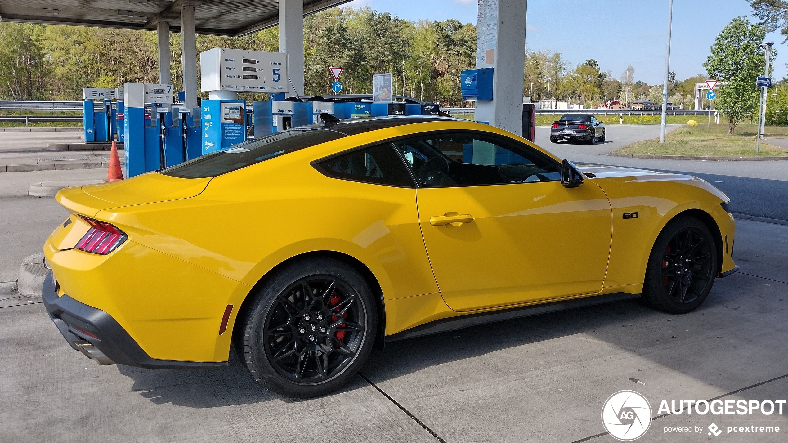 ford,  ford mustang,  mustang,  mustang gt,  ford mustang gt,  xe co bap,  xe dua,  xe the thao,  co bap my,  xe co bap my,  chevrolet,  camaro,  dodge,  charger,  challenger anh 6