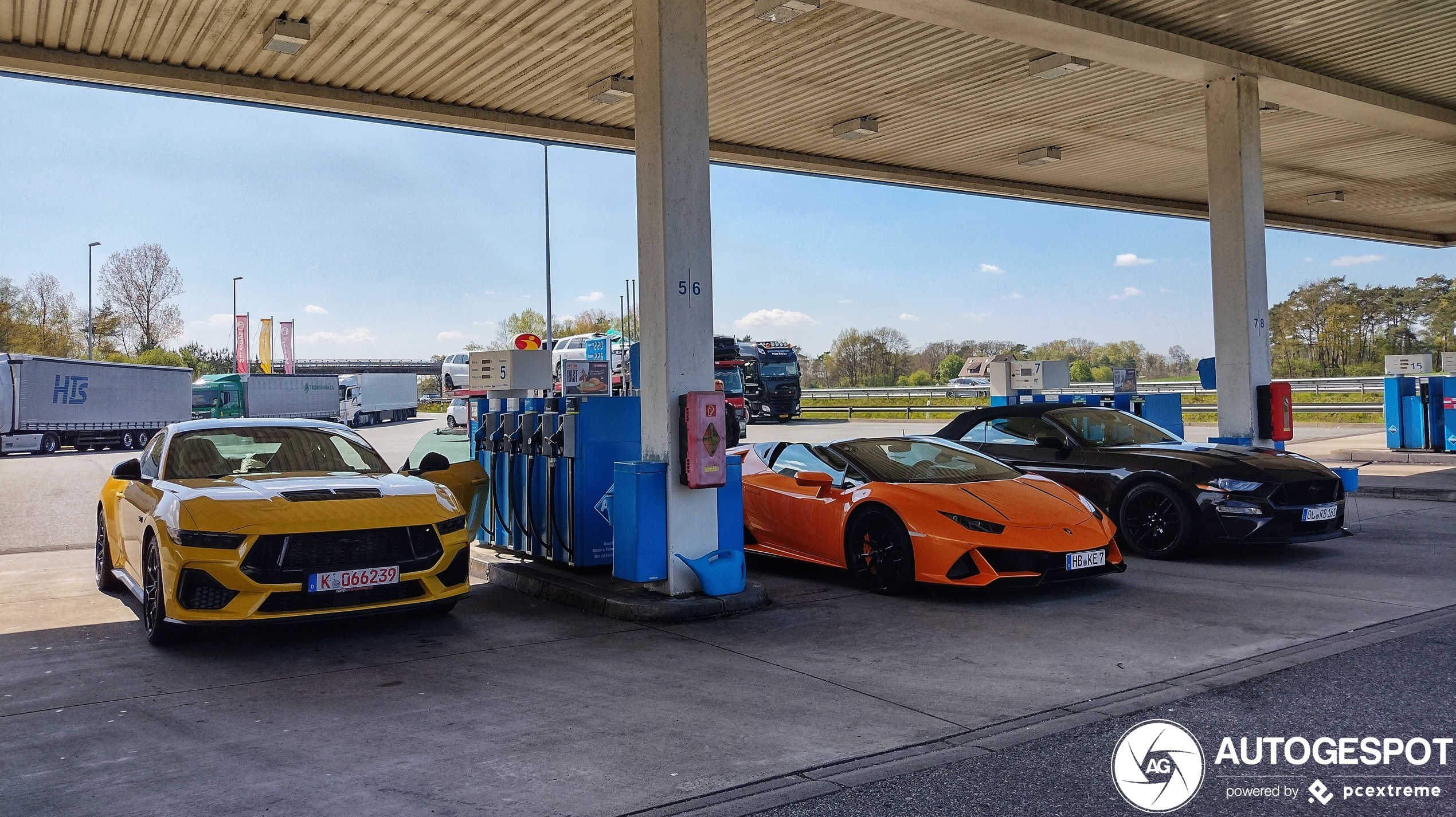 ford,  ford mustang,  mustang,  mustang gt,  ford mustang gt,  xe co bap,  xe dua,  xe the thao,  co bap my,  xe co bap my,  chevrolet,  camaro,  dodge,  charger,  challenger anh 7