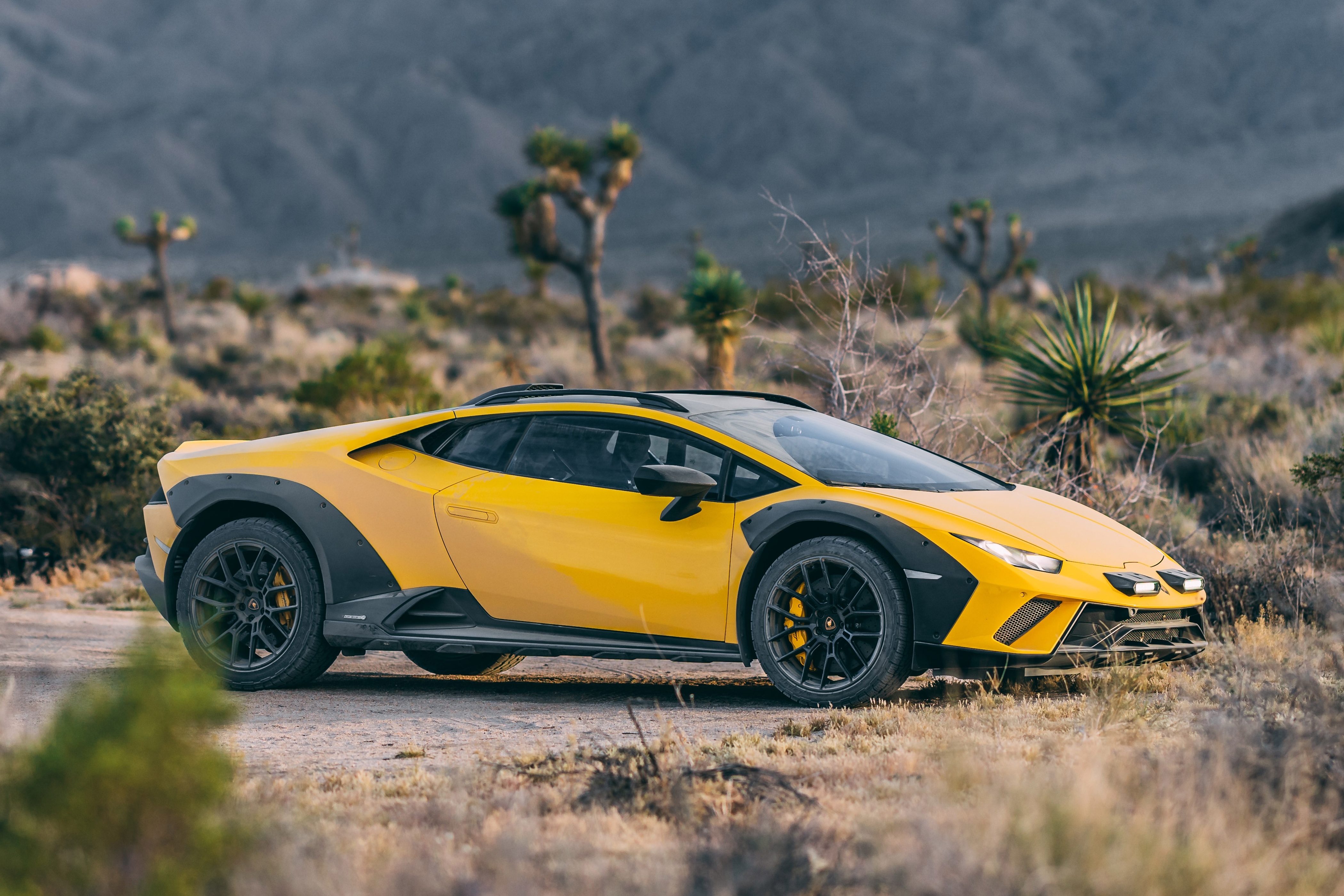 lamborghini,  huracan,  sterrato,  huracan sterrato,  aventador,  revuelto,  urus,  gallardo,  murcielago,  sieu xe,  dia hinh,  off-road,  offroad,  ferrari,  mclaren,  aston martin,  porsche,  maserati,  bugatti,  pagani,  koenigsegg anh 8