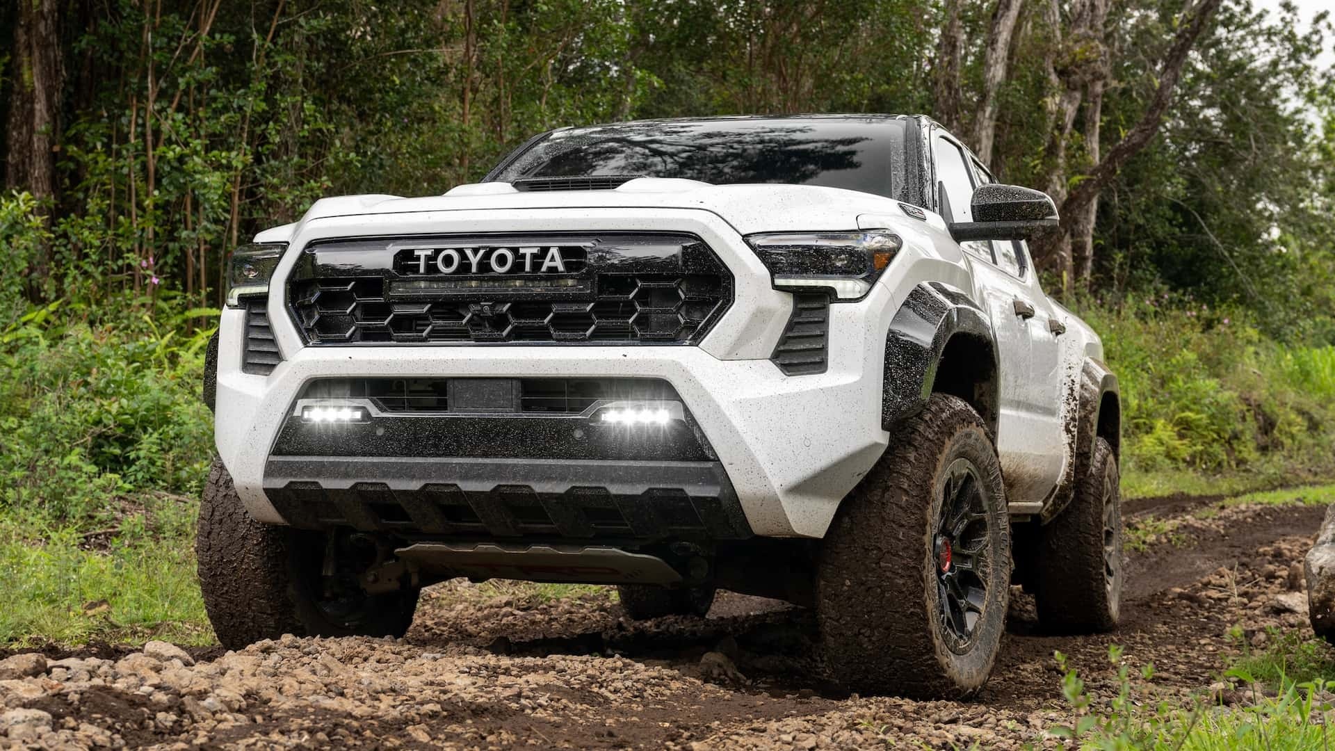 toyota,  tacoma,  toyota tacoma,  trd,  tacoma trd pro,  ban tai,  pickup,  pick-up,  hieu nang cao,  hieu suat cao,  ford,  ranger,  raptor,  ranger raptor,  chevrolet colorado,  zr2,  colorado zr2 anh 2