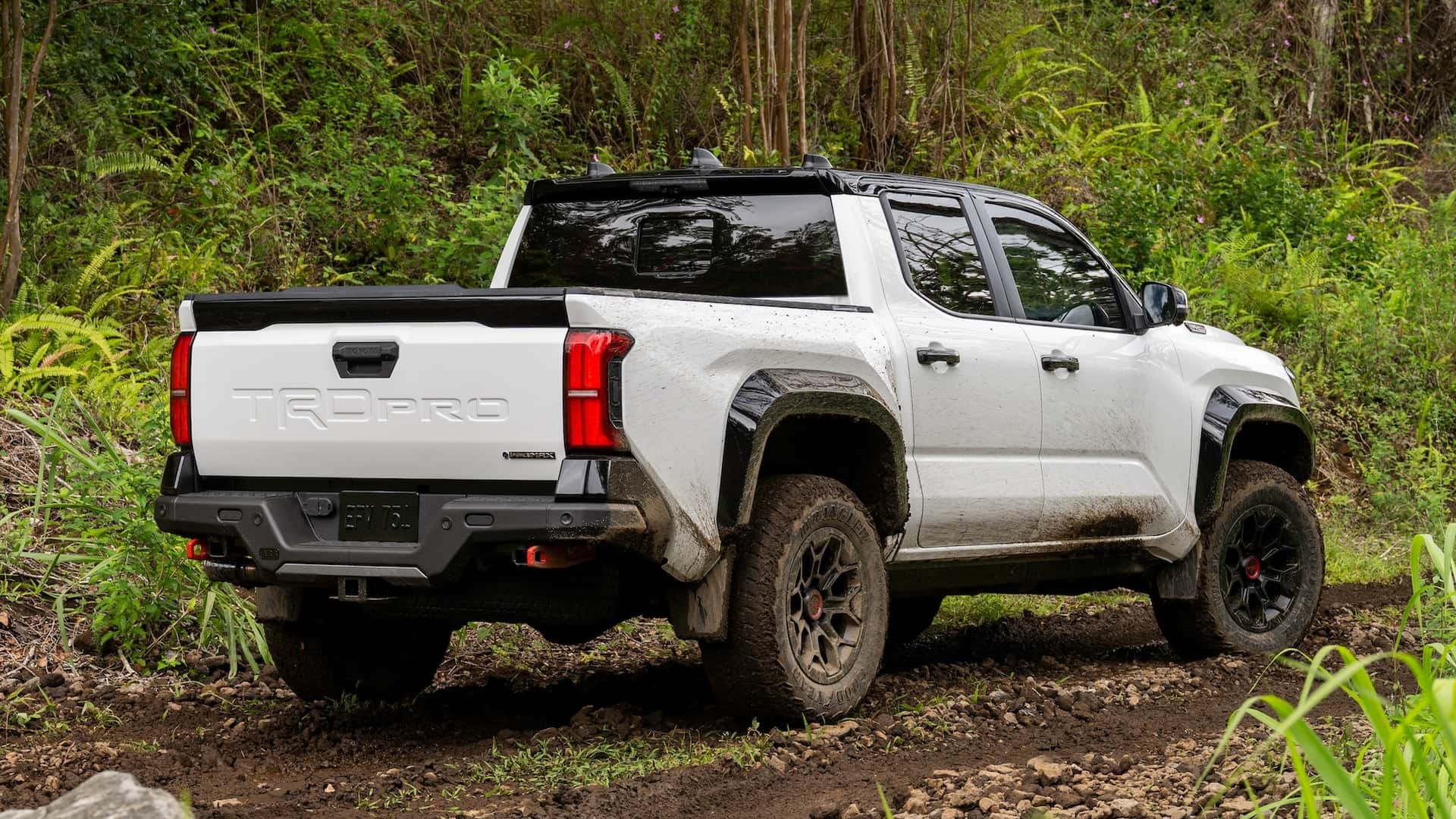 toyota,  tacoma,  toyota tacoma,  trd,  tacoma trd pro,  ban tai,  pickup,  pick-up,  hieu nang cao,  hieu suat cao,  ford,  ranger,  raptor,  ranger raptor,  chevrolet colorado,  zr2,  colorado zr2 anh 4