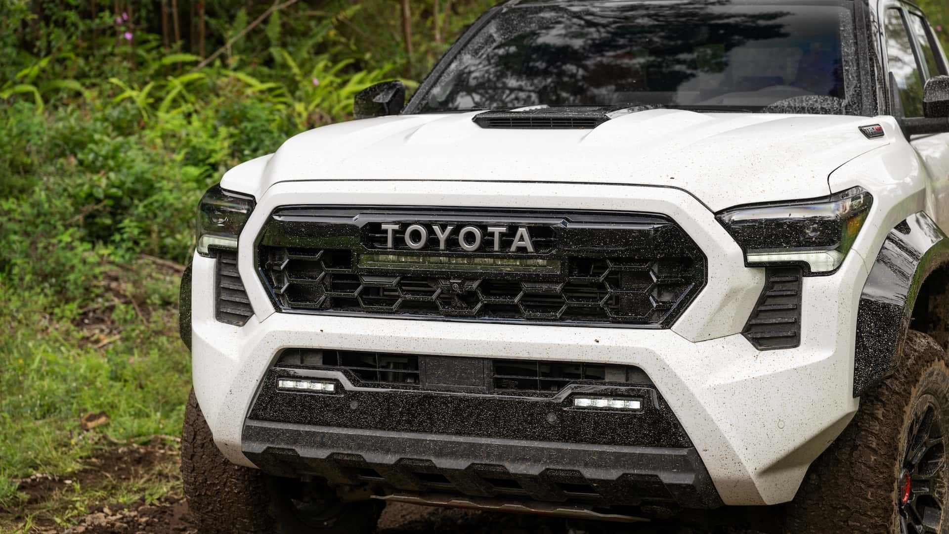 toyota,  tacoma,  toyota tacoma,  trd,  tacoma trd pro,  ban tai,  pickup,  pick-up,  hieu nang cao,  hieu suat cao,  ford,  ranger,  raptor,  ranger raptor,  chevrolet colorado,  zr2,  colorado zr2 anh 3