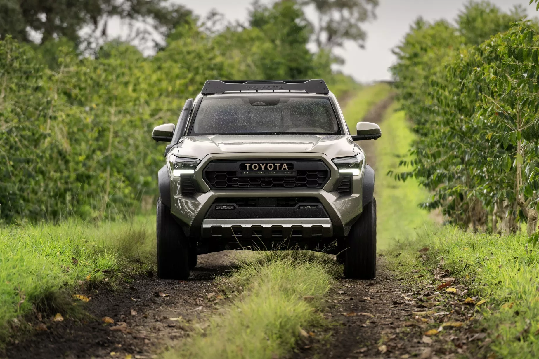 toyota,  tacoma,  toyota tacoma,  tacoma trailhunter,  trailhunter,  toyota tacoma trailhunter,  ban tai,  dia hinh,  xe ban tai,  pick-up,  pickup,  trd,  trd pro,  tacoma trd pro,  ford,  ranger,  mitsubishi,  triton,  toyota hilux anh 21