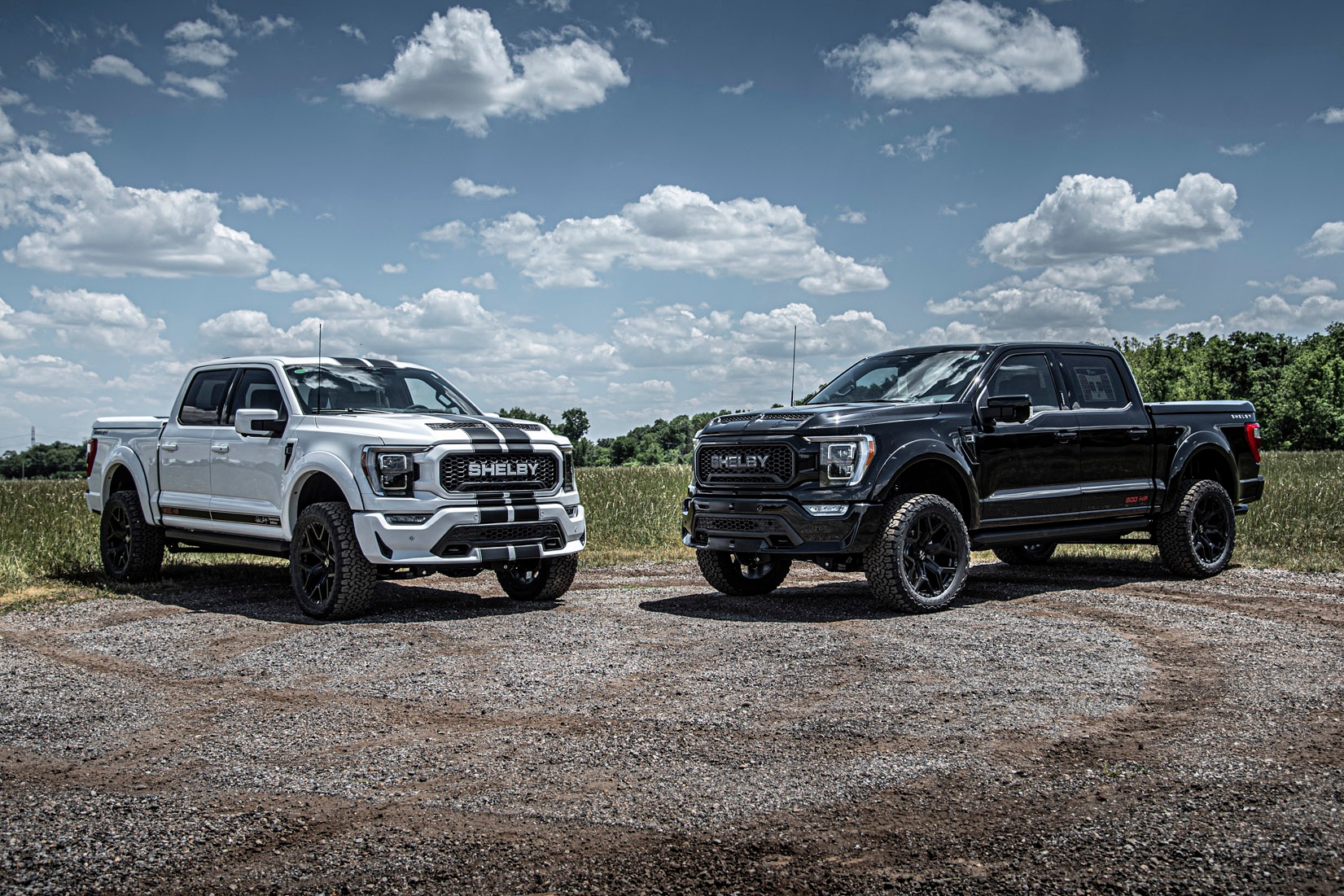 Carroll Shelby,  ford,  shelby,  f-150,  f150,  ban tai,  pick-up,  pickup,  ford f-150,  ford f150,  f-150 shelby,  shelby f-150,  shelby f150,  f150 shelby,  centennial edition,  f-150 centennial,  raptor,  f-150 raptor,  f150 raptor,  raptor r,  f150 raptor r,  fox,  he thong treo fox,  ranger,  ranger raptor anh 1