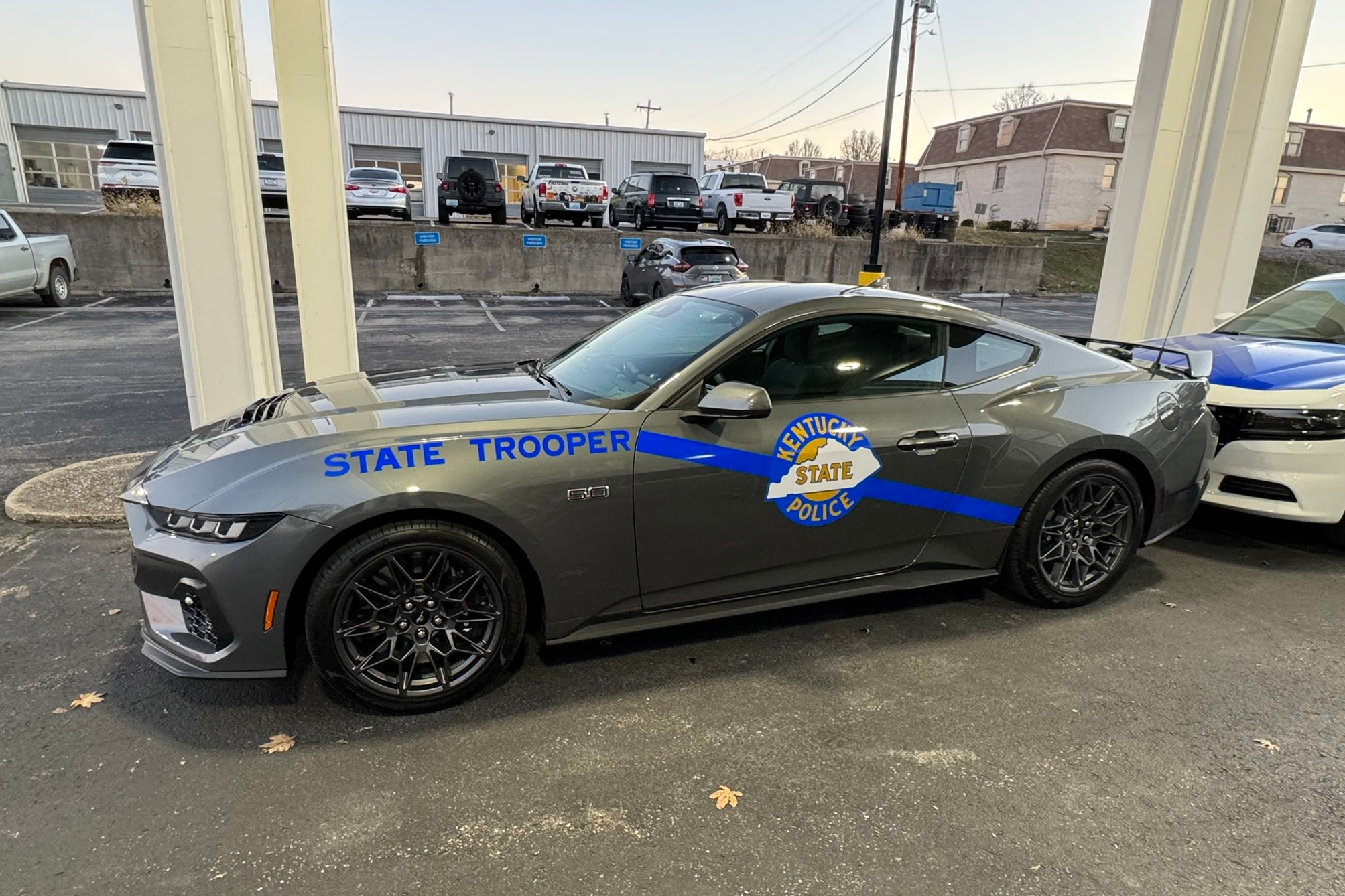 ford,  mustang,  mustang gt,  canh sat my,  xe co bap anh 5