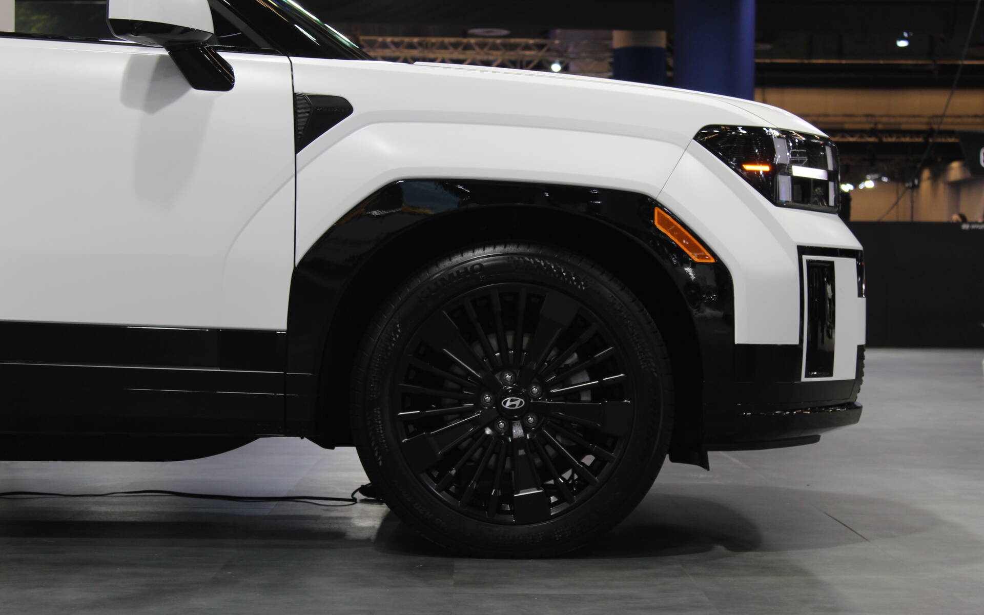 suv,  hyundai,  santa fe,  santafe,  suv hang d,  gioi han,  hockey,  khuc gon cau,  canada anh 3