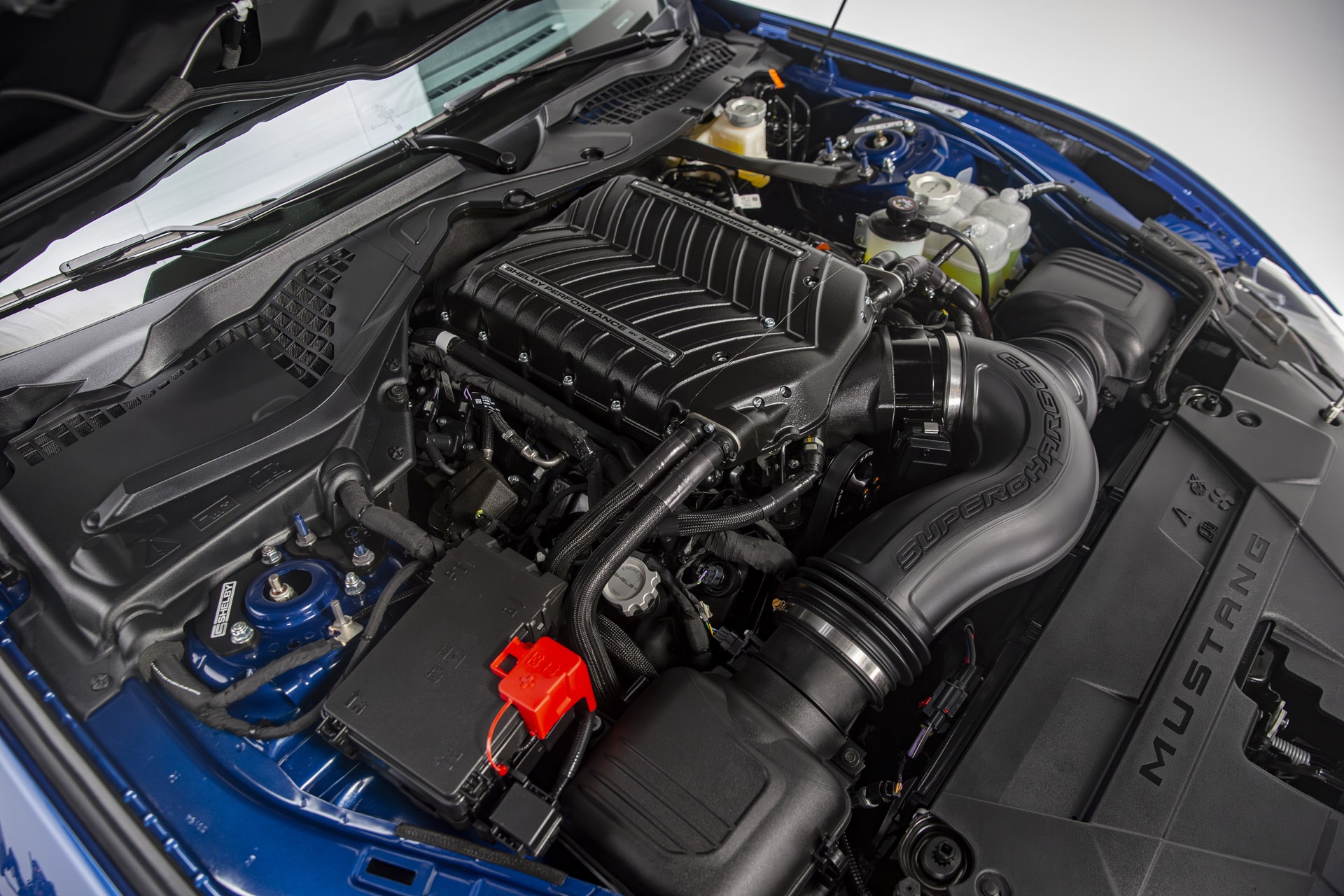 ford,  mustang,  shelby,  super snake,  shelby super snake,  xe cơ bắp,  shelby american ảnh 10 ford,  mustang,  shelby,  super snake,  shelby super snake,  xe co bap,  shelby american anh 10