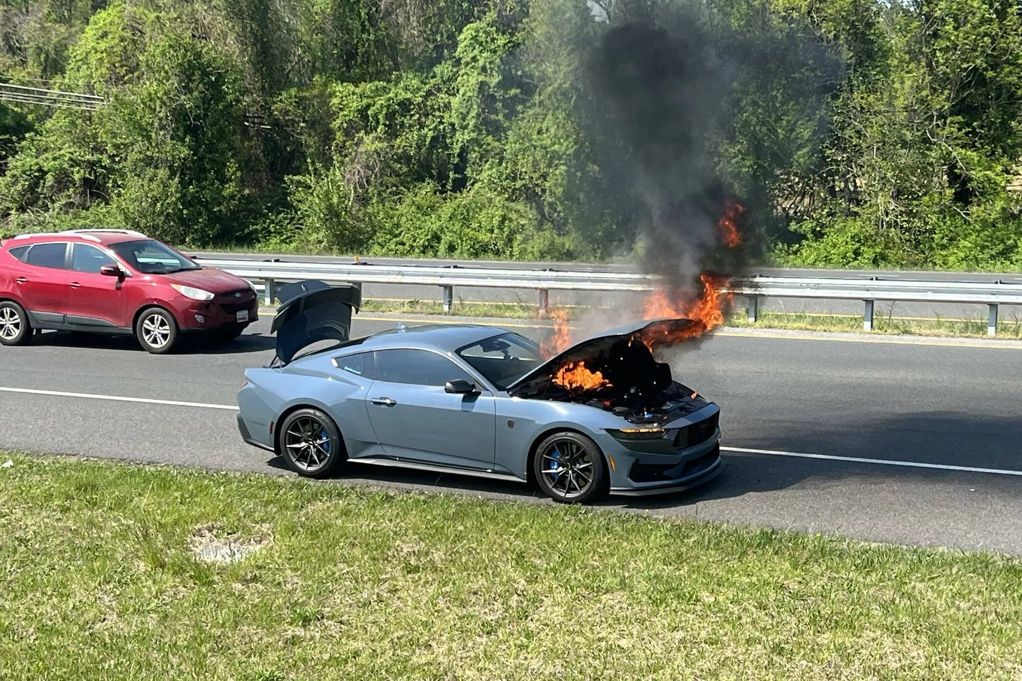 ford,  mustang,  mustang gt,  mustang dark horse,  dark horse,  xe co bap,  chay,  hoa hoan,  trieu hoi,  boi thuong anh 3