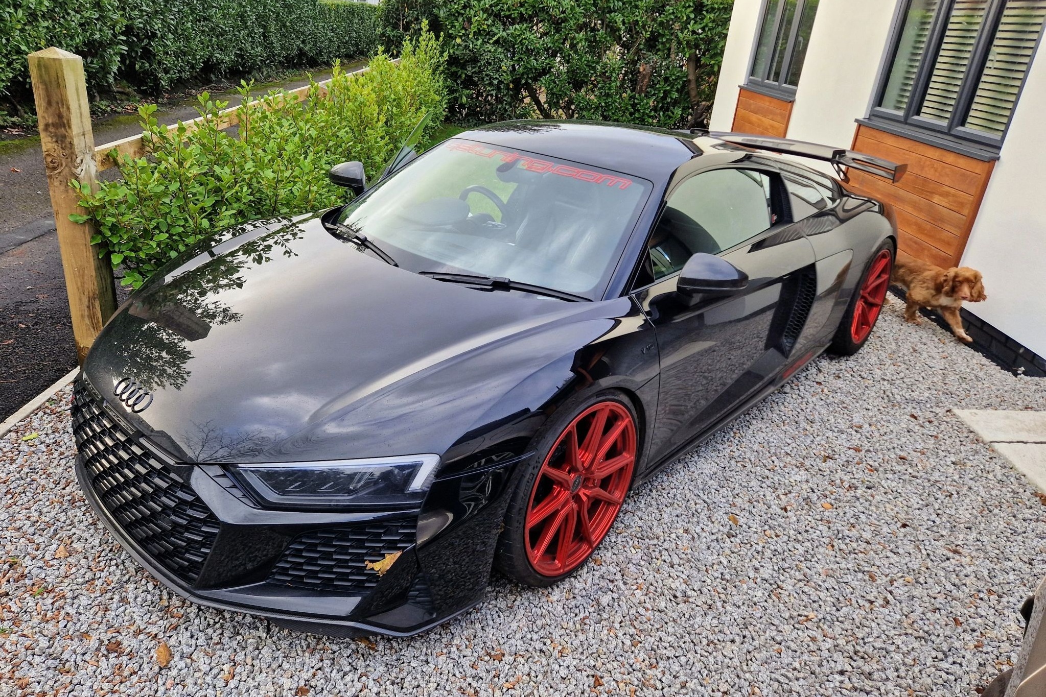 audi,  r8,  r8 v10,  r8 v10 performance,  r8 v10 plus,  sieu xe,  audi r8,  audi r8 v10,  tai nan,  tai nan sieu xe anh 8