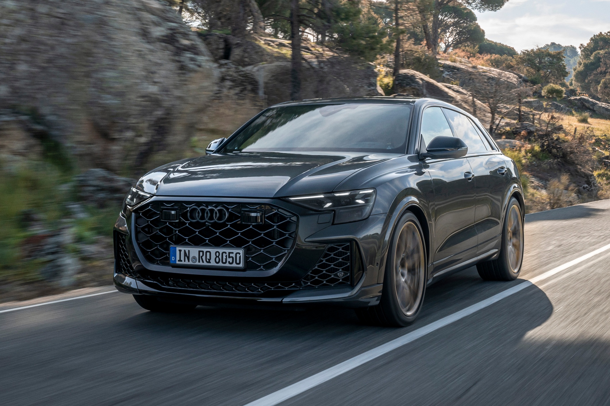 audi,  q8,  q8 e-tron,  rs q8,  audi rs q8,  suv,  hieu nang cao,  nurbugring,  audi rs q8 performance,  rs q8 performance anh 16