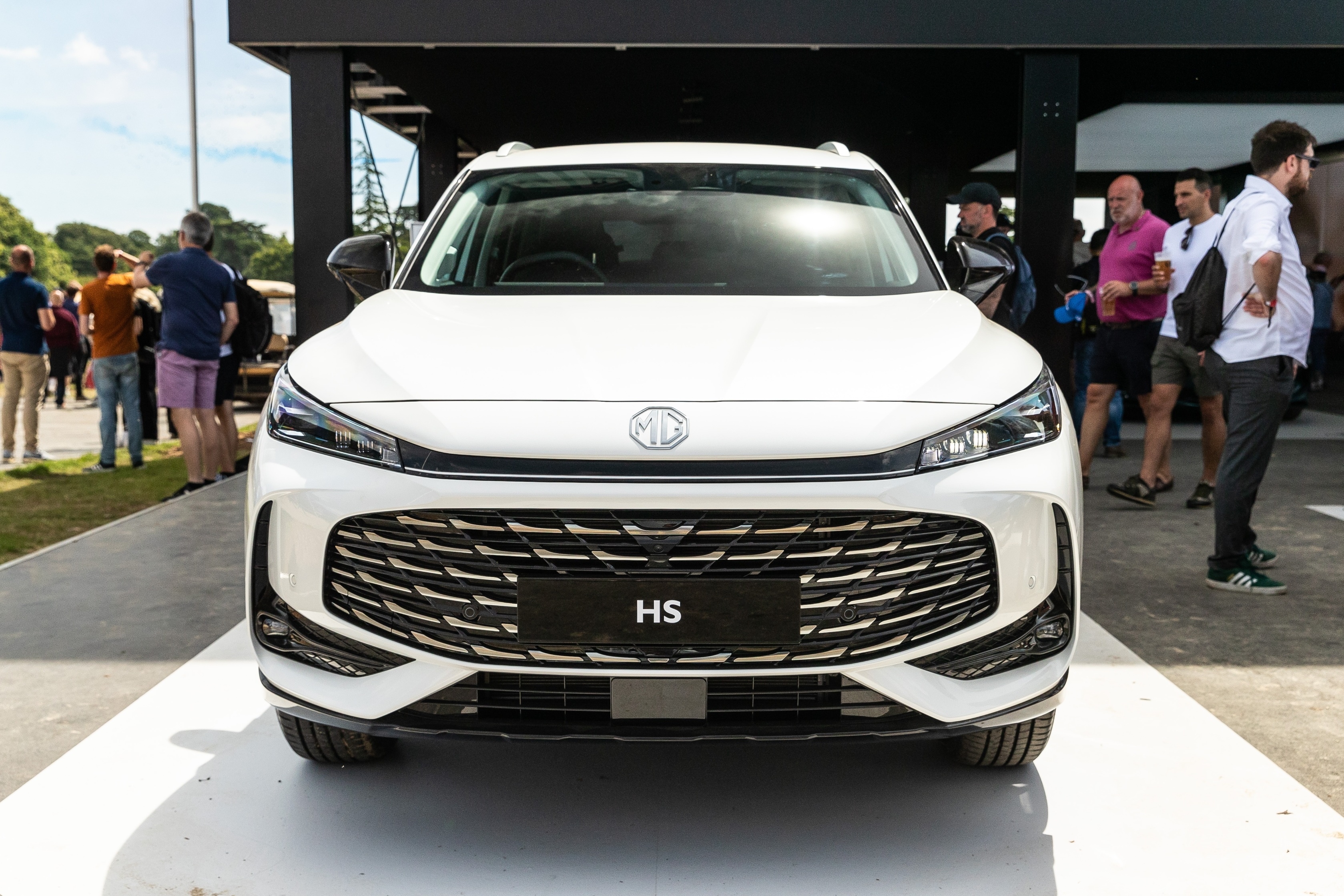 mg,  hs,  mg hs anh 2