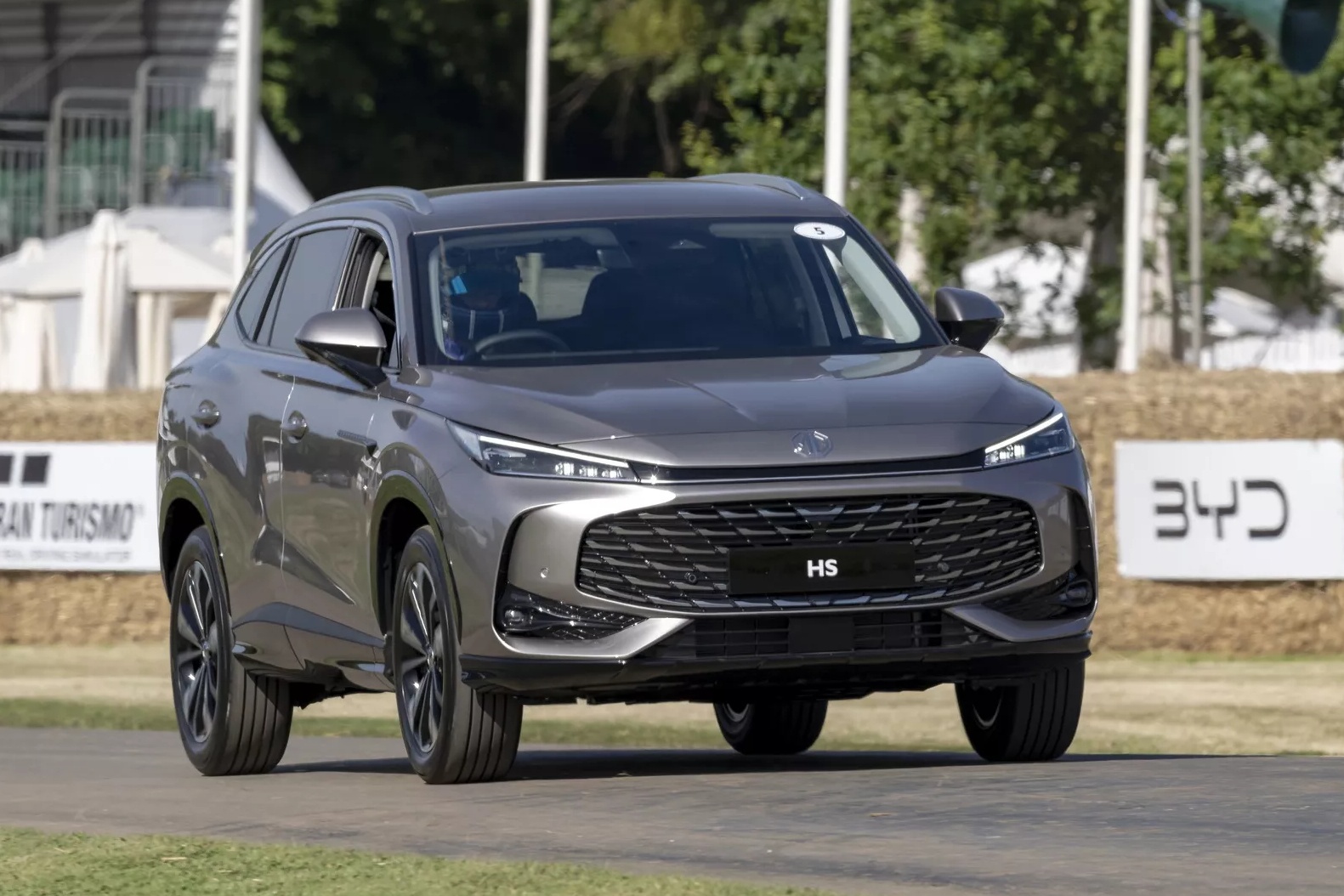 mg,  hs,  mg hs anh 12