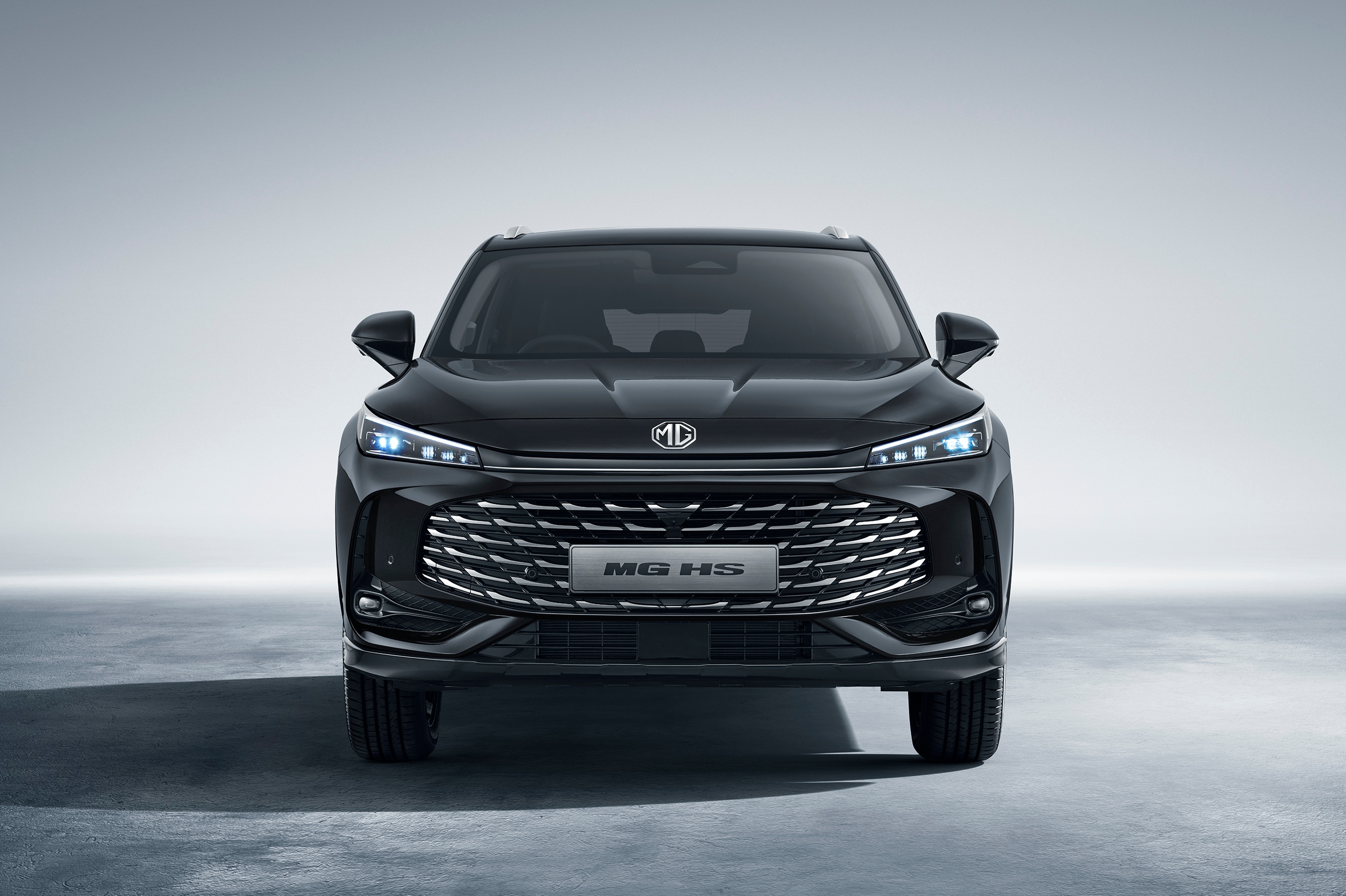 mg,  hs,  mg hs anh 8