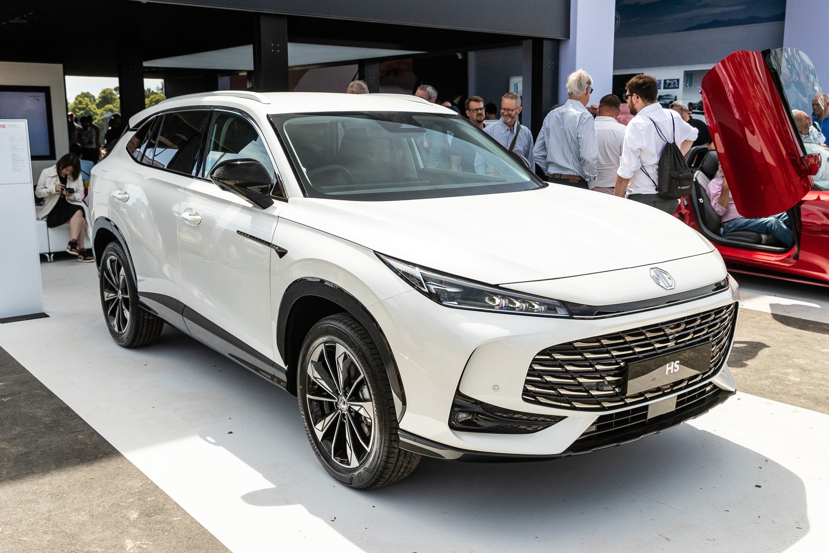 mg,  hs,  mg hs anh 1