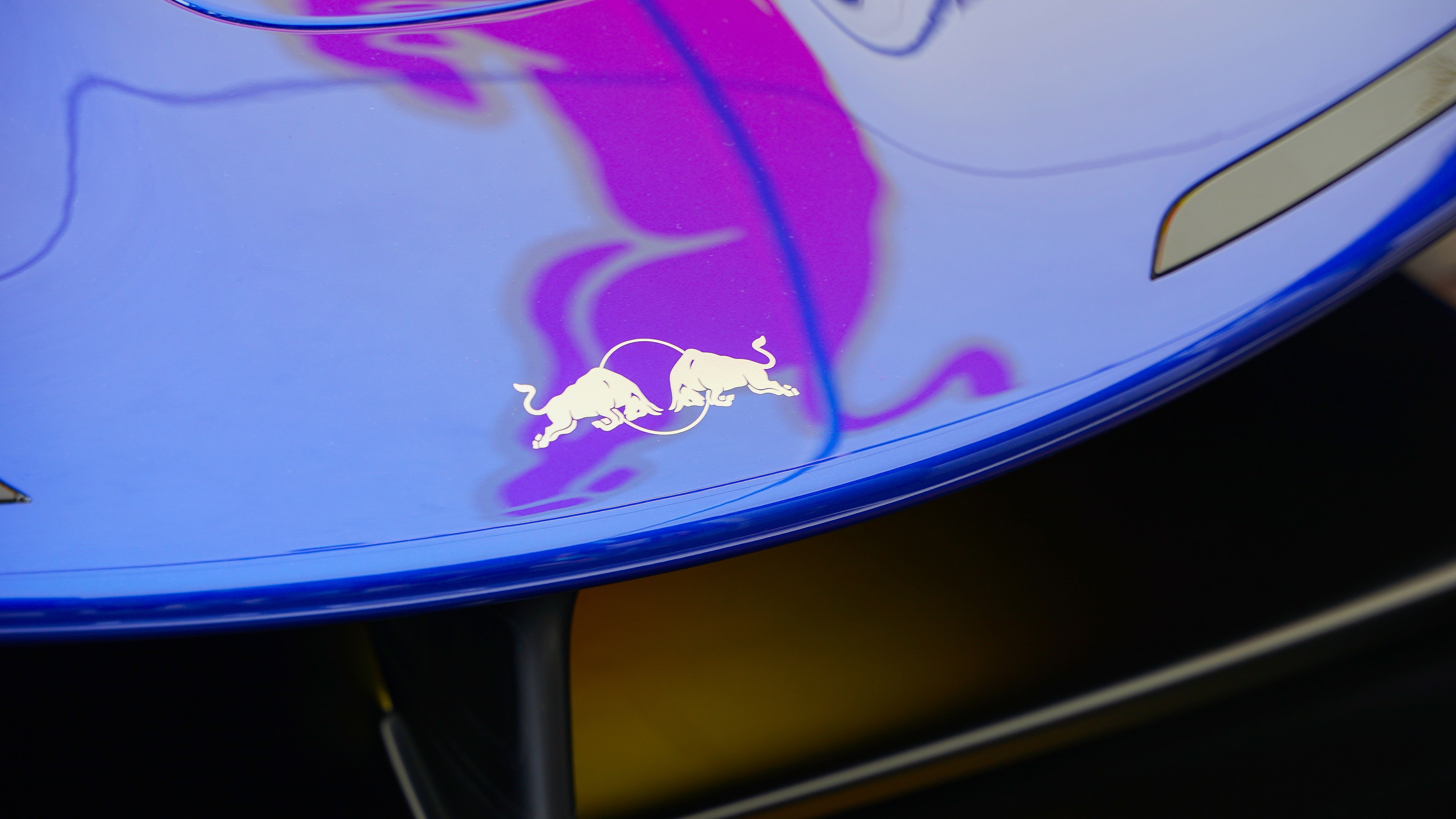 red bull,  red bull racing,  Goodwood Festival of Speed,  rb17,  red bull rb17 ảnh 9 red bull,  red bull racing,  Goodwood Festival of Speed,  rb17,  red bull rb17 anh 9