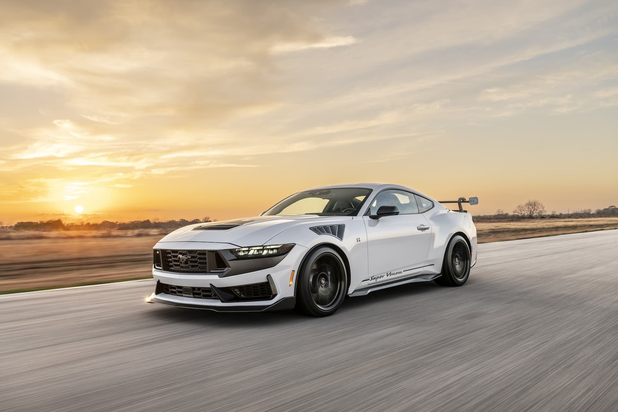 ford,  mustang,  dark horse,  ford mustang,  mustang dark horse,  ford mustang dark horse,  xe do,  hennessey,  super venom anh 15