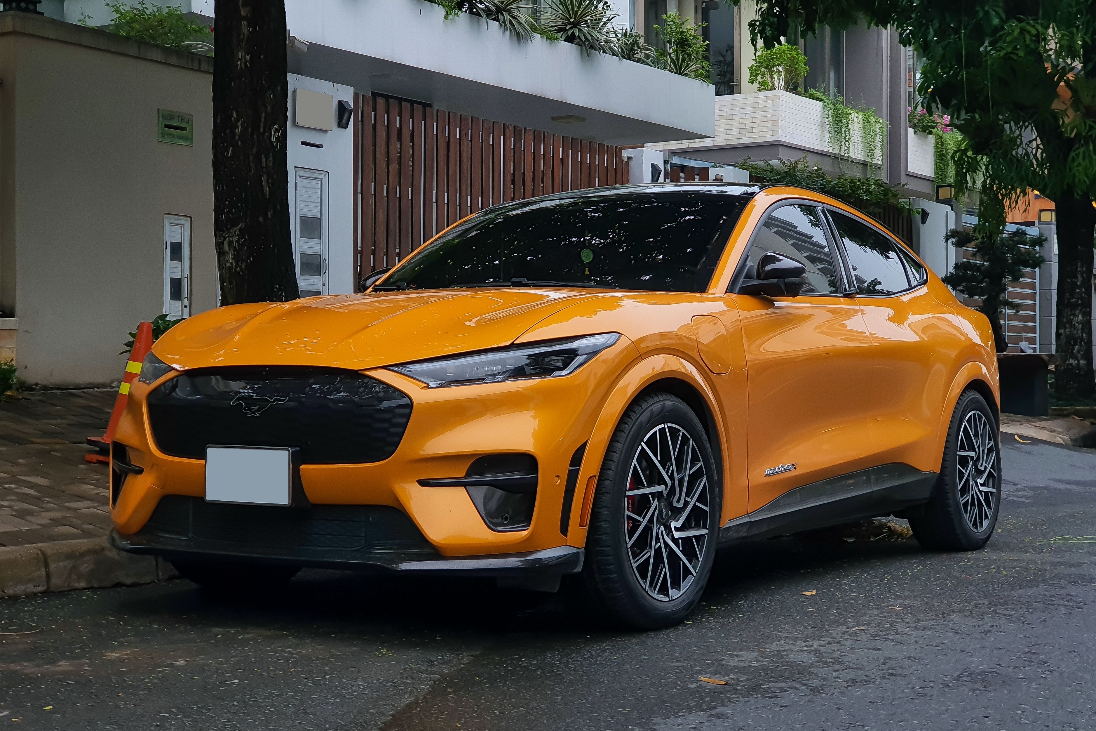 Can canh chiec Ford Mustang Mach-E GT dau tien lan banh tai TP.HCM hinh anh