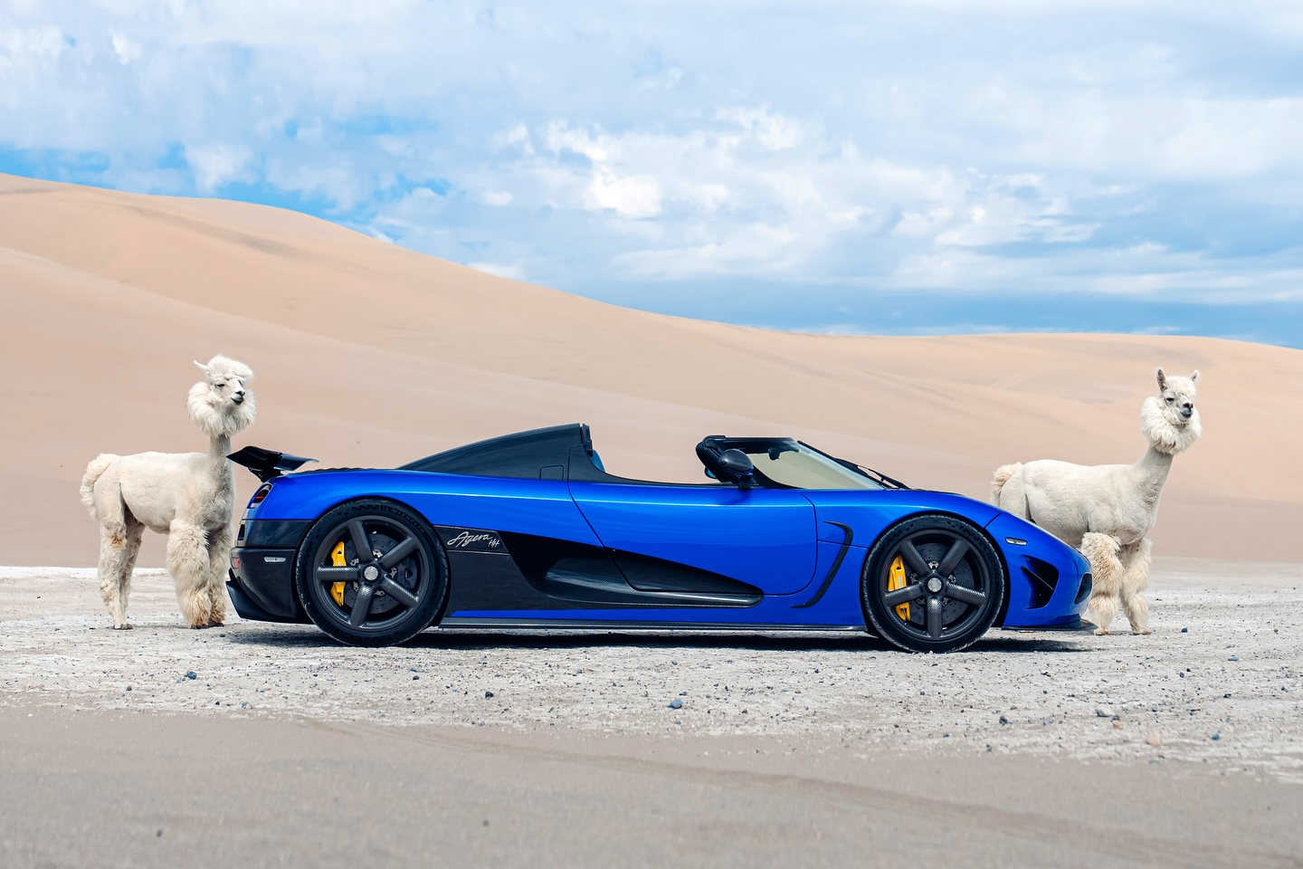 sieu xe,  hypercar,  koenigsegg,  agera,  agera s,  agera hh,  koenigsegg agera s,  koenigsegg agera,  koenigsegg agera hh,  youtuber,  TheStradman,  sa mac,  lac da,  alpaca,  llama,  utah,  sa mac anh 6