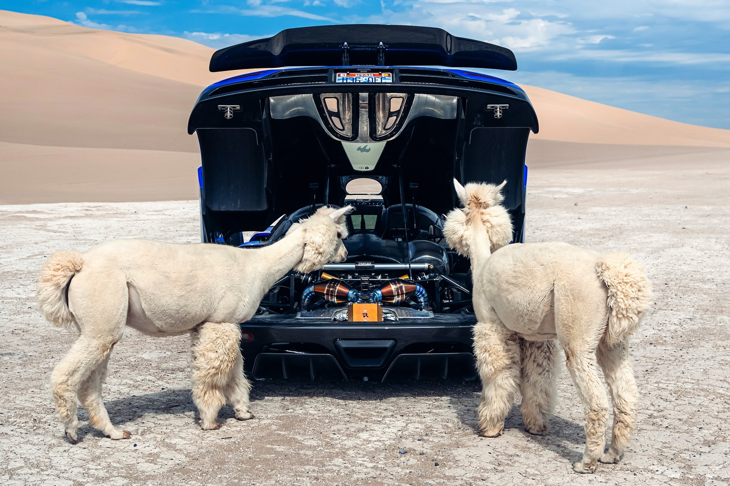 sieu xe,  hypercar,  koenigsegg,  agera,  agera s,  agera hh,  koenigsegg agera s,  koenigsegg agera,  koenigsegg agera hh,  youtuber,  TheStradman,  sa mac,  lac da,  alpaca,  llama,  utah,  sa mac anh 7