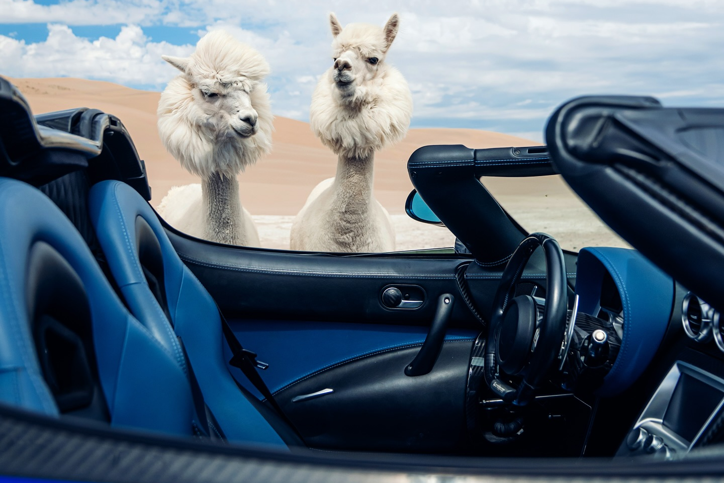 sieu xe,  hypercar,  koenigsegg,  agera,  agera s,  agera hh,  koenigsegg agera s,  koenigsegg agera,  koenigsegg agera hh,  youtuber,  TheStradman,  sa mac,  lac da,  alpaca,  llama,  utah,  sa mac anh 4