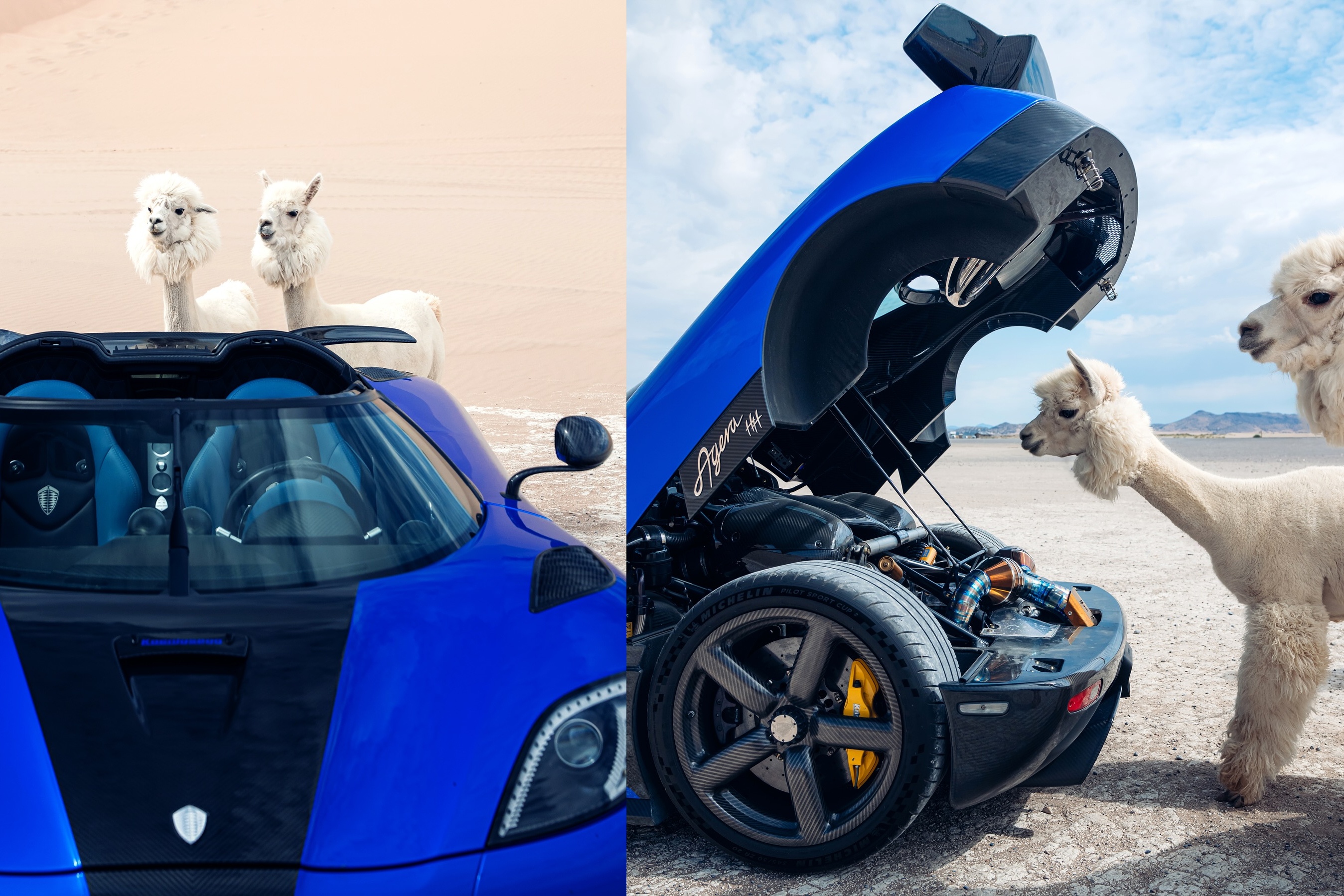 sieu xe,  hypercar,  koenigsegg,  agera,  agera s,  agera hh,  koenigsegg agera s,  koenigsegg agera,  koenigsegg agera hh,  youtuber,  TheStradman,  sa mac,  lac da,  alpaca,  llama,  utah,  sa mac anh 3