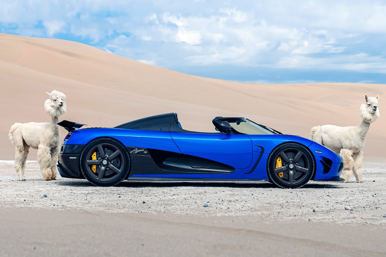 Sieu xe Koenigsegg Agera HH 'khoe dang' cung lac da Alpaca hinh anh