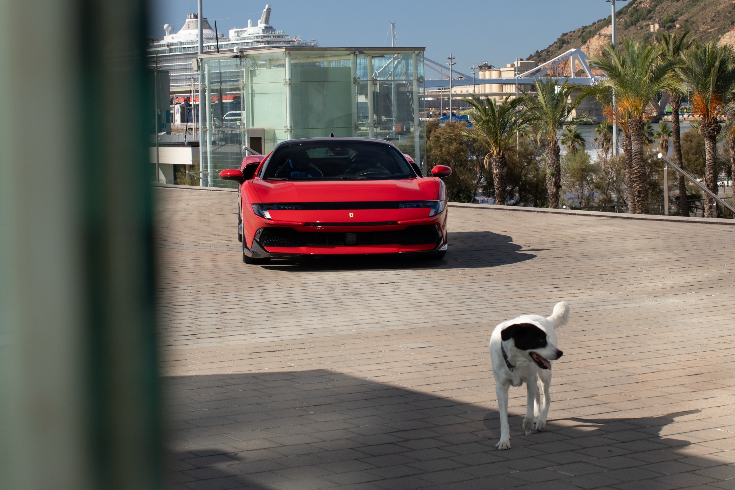 sieu xe,  ferrari,  849,  849 testarossa,  ferrari 849 testarossa,  hybrid,  v8,  sf90,  sf90 stradale,  ferrari sf90 stradale anh 10