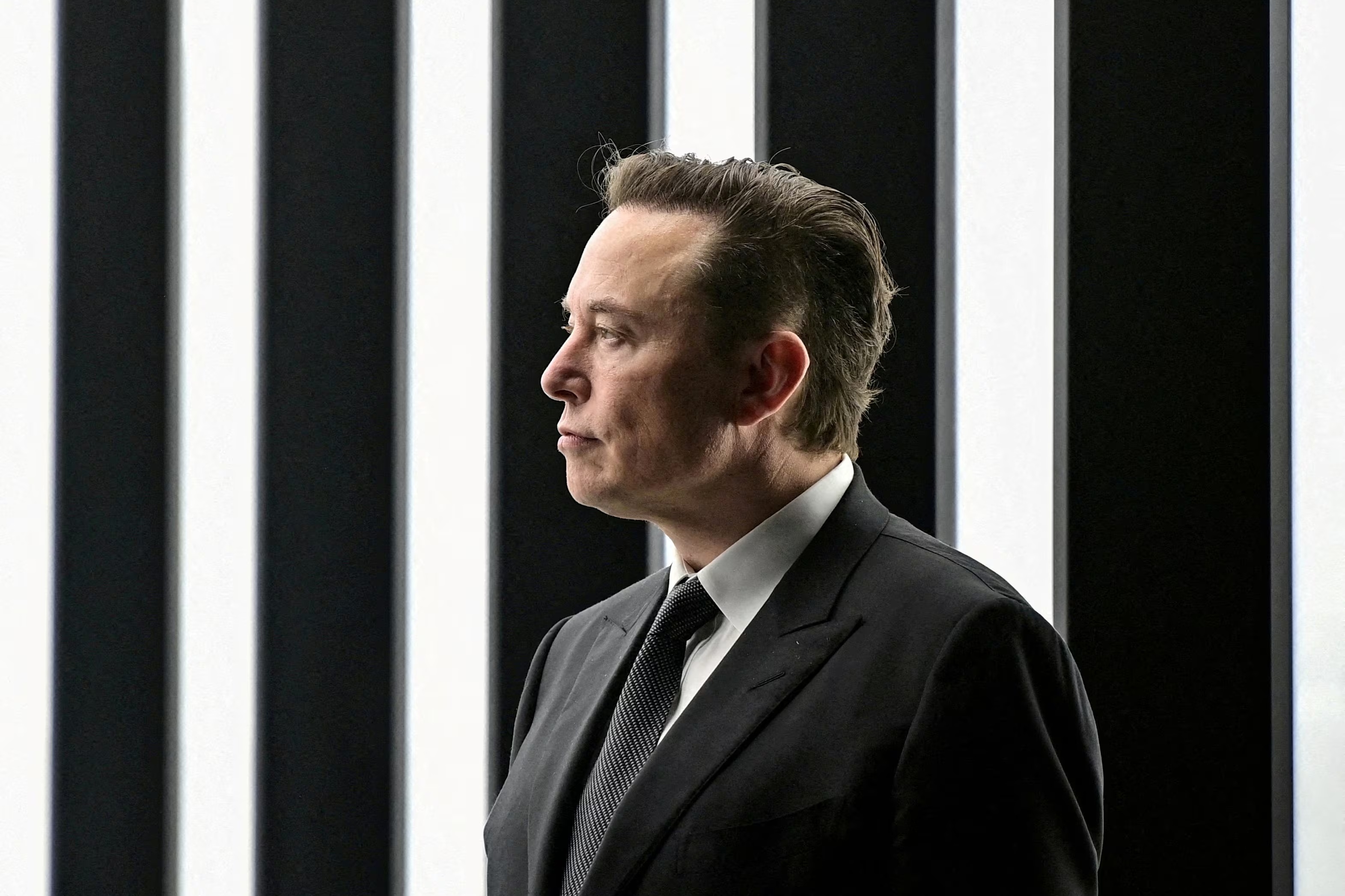 xe dien,  ev,  tesla,  thue quan,  giam thue,  my,  elon musk anh 1
