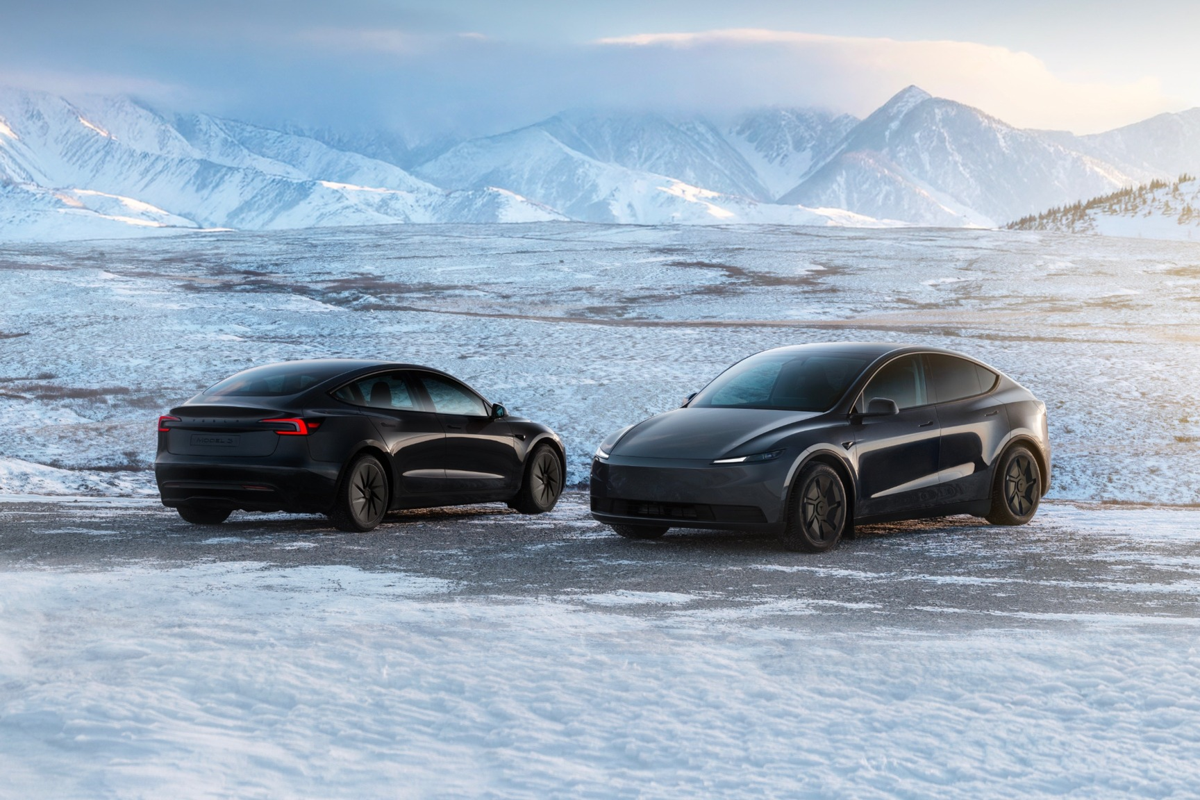 tesla,  model 3,  model 3 standard anh 2