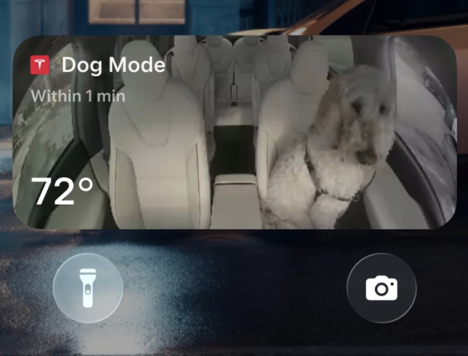 tesla,  giang sinh,  xe dien,  ev anh 6