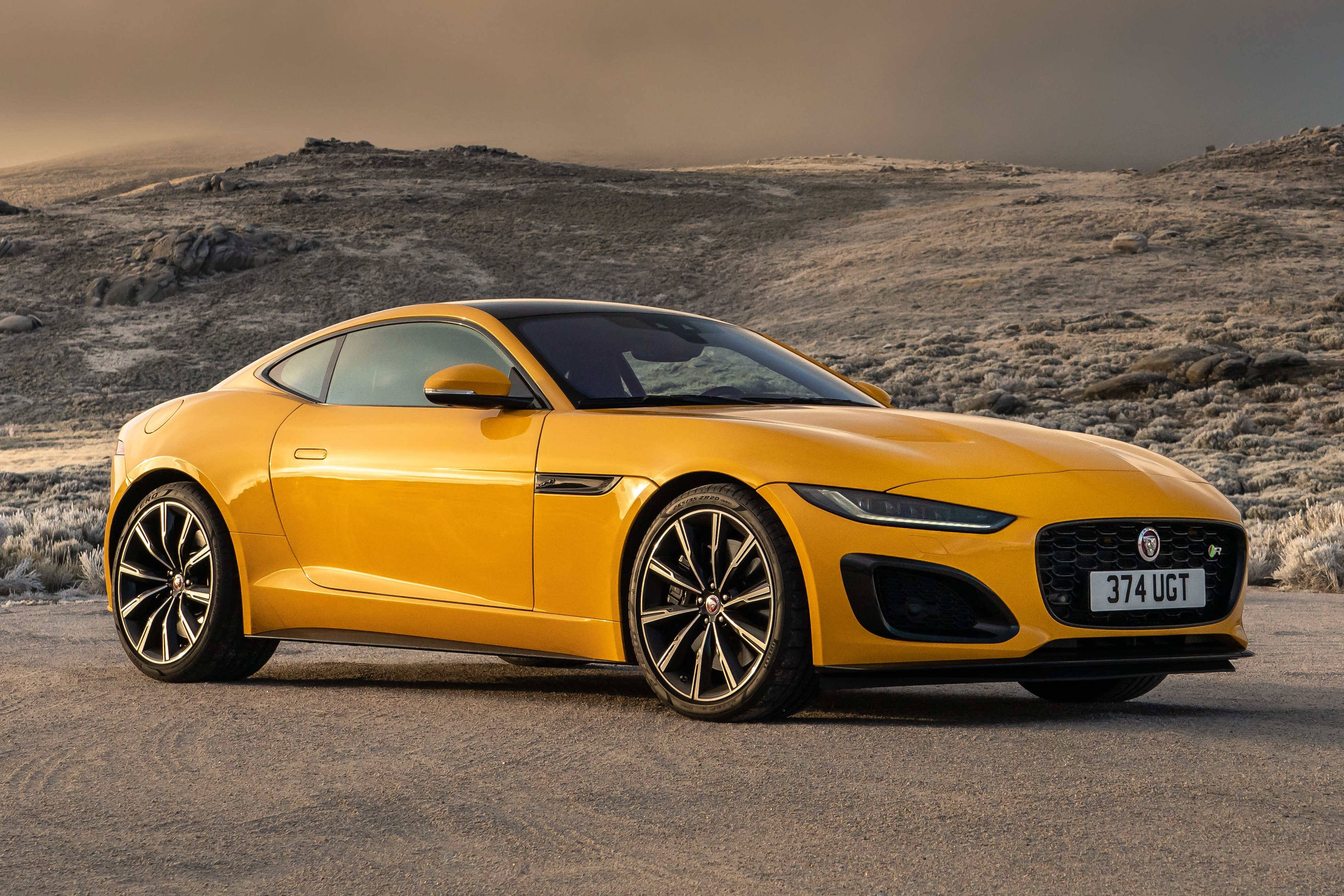 Jaguar da sai? hinh anh